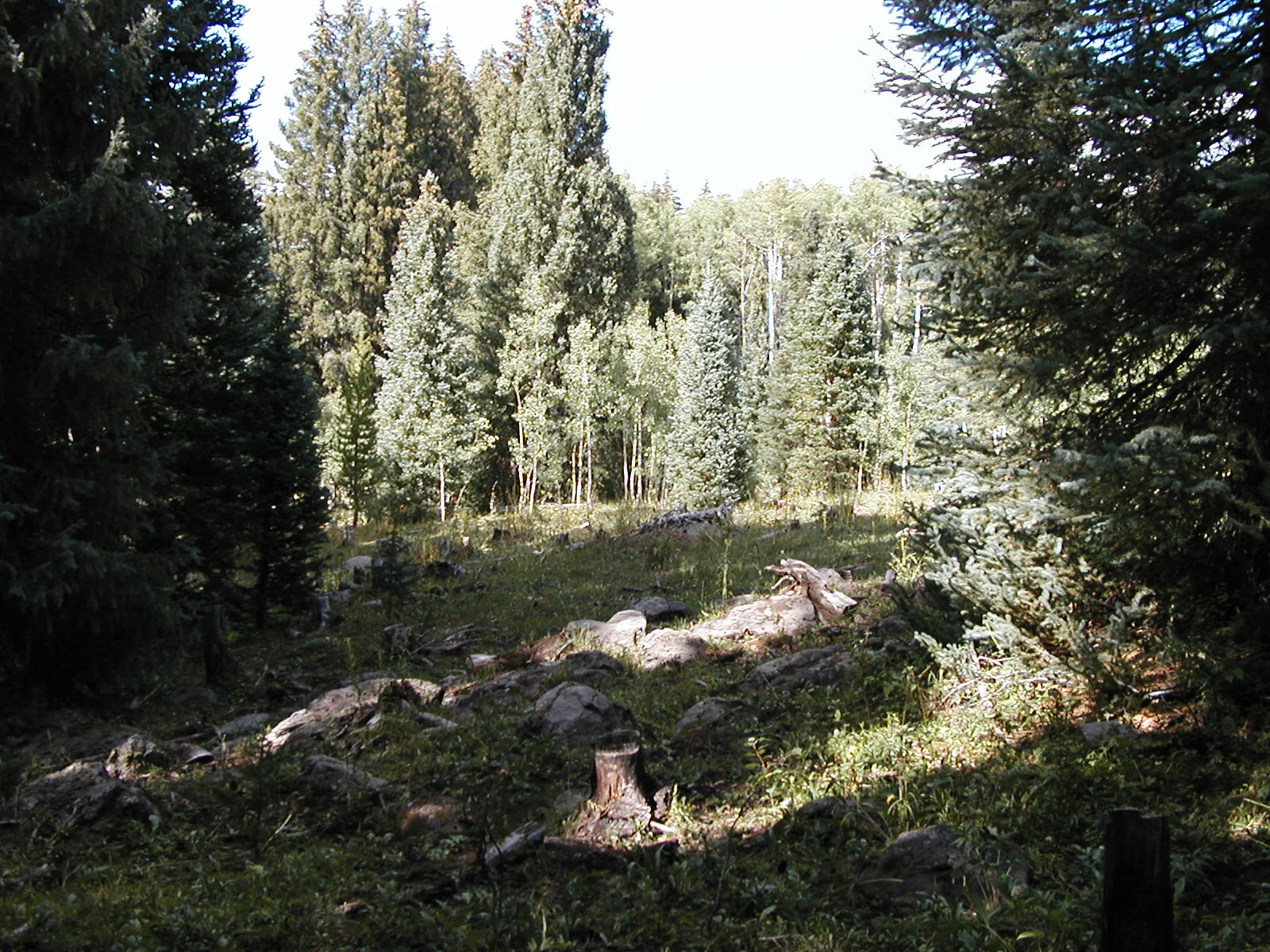 P1010036.JPG