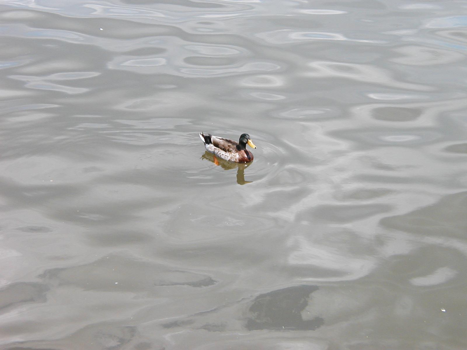 P1010036.JPG