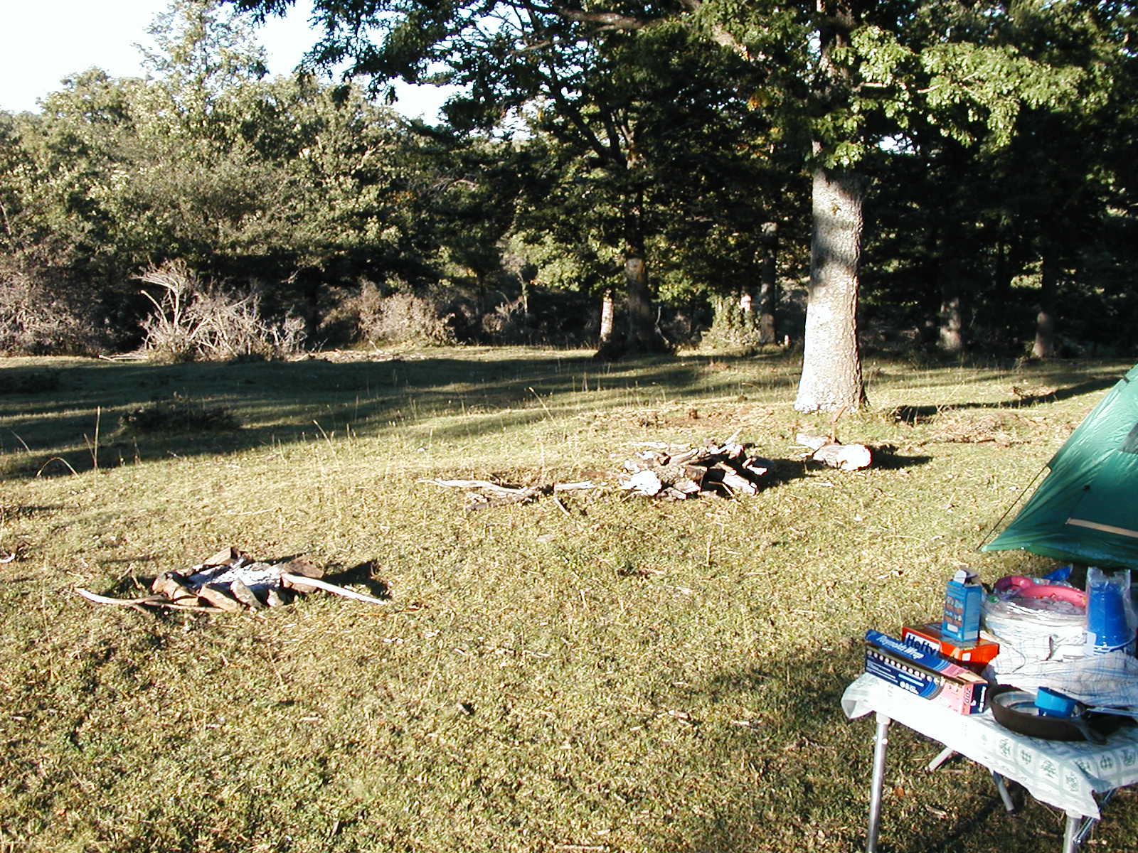 P1010036.JPG