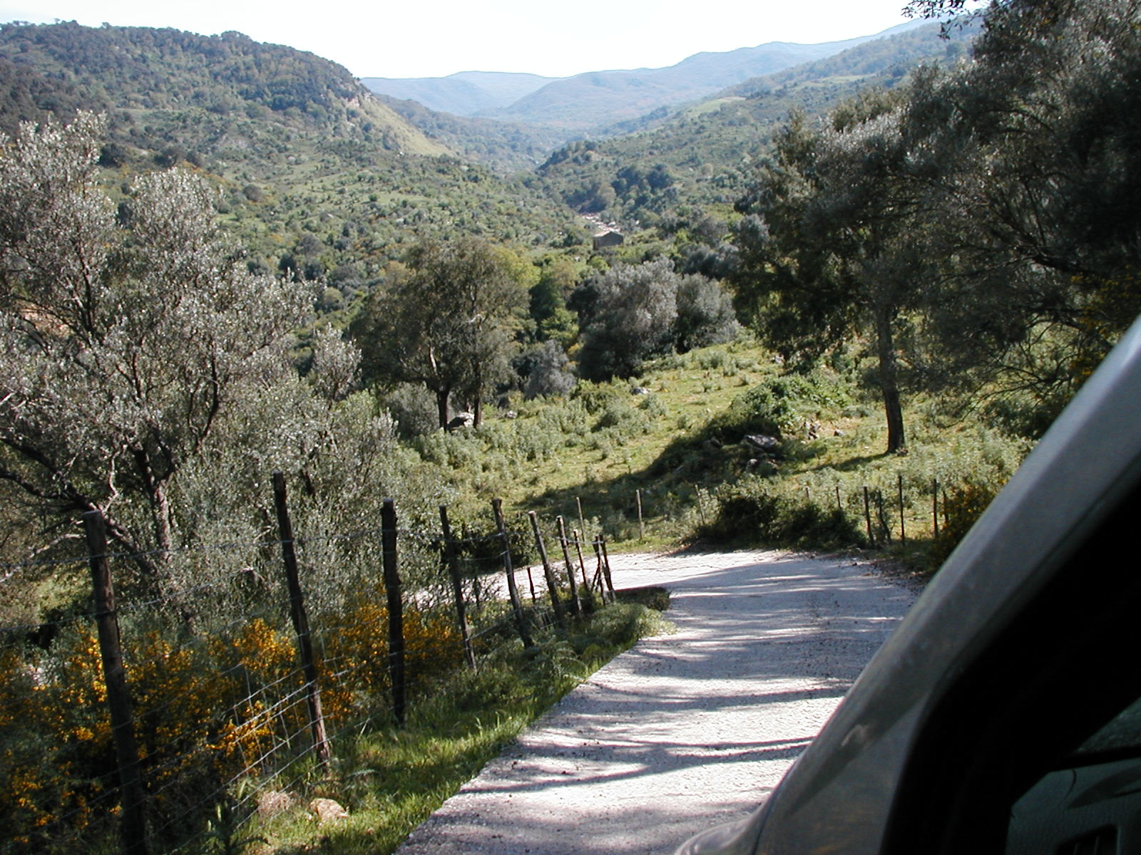 P1010037.JPG