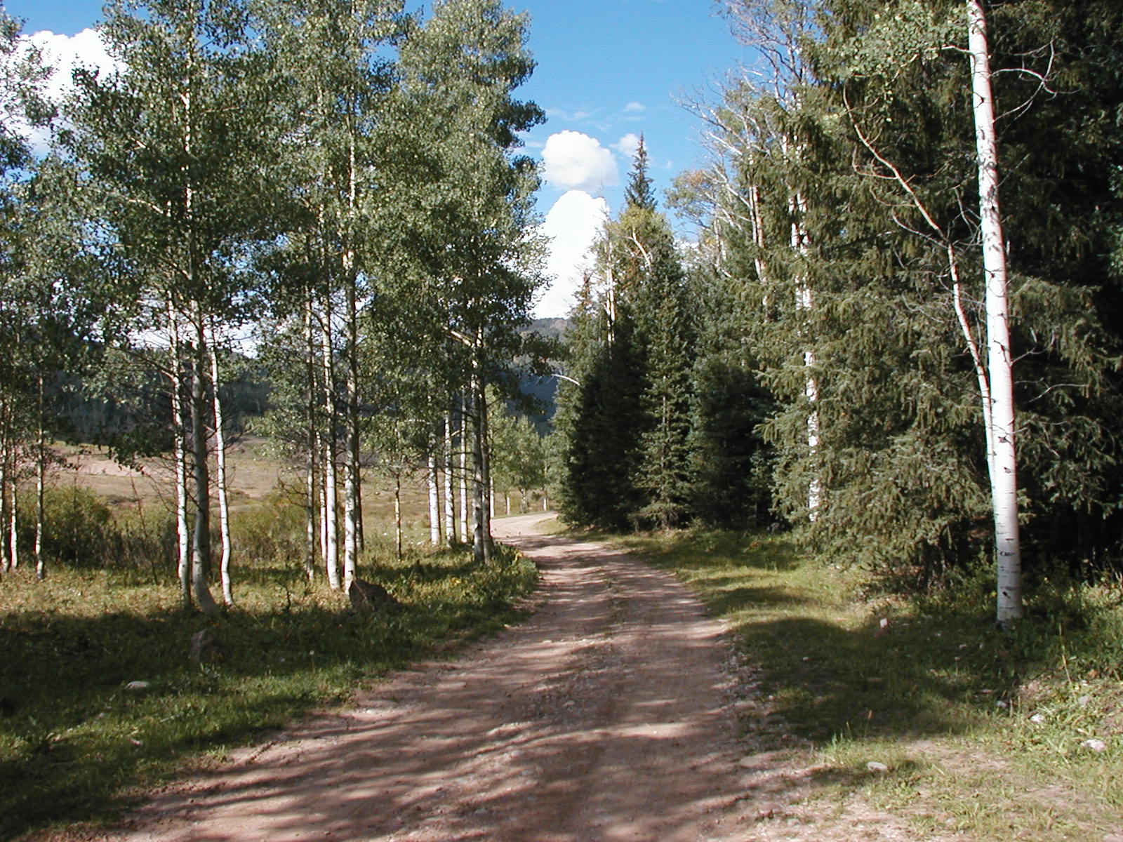P1010037.JPG