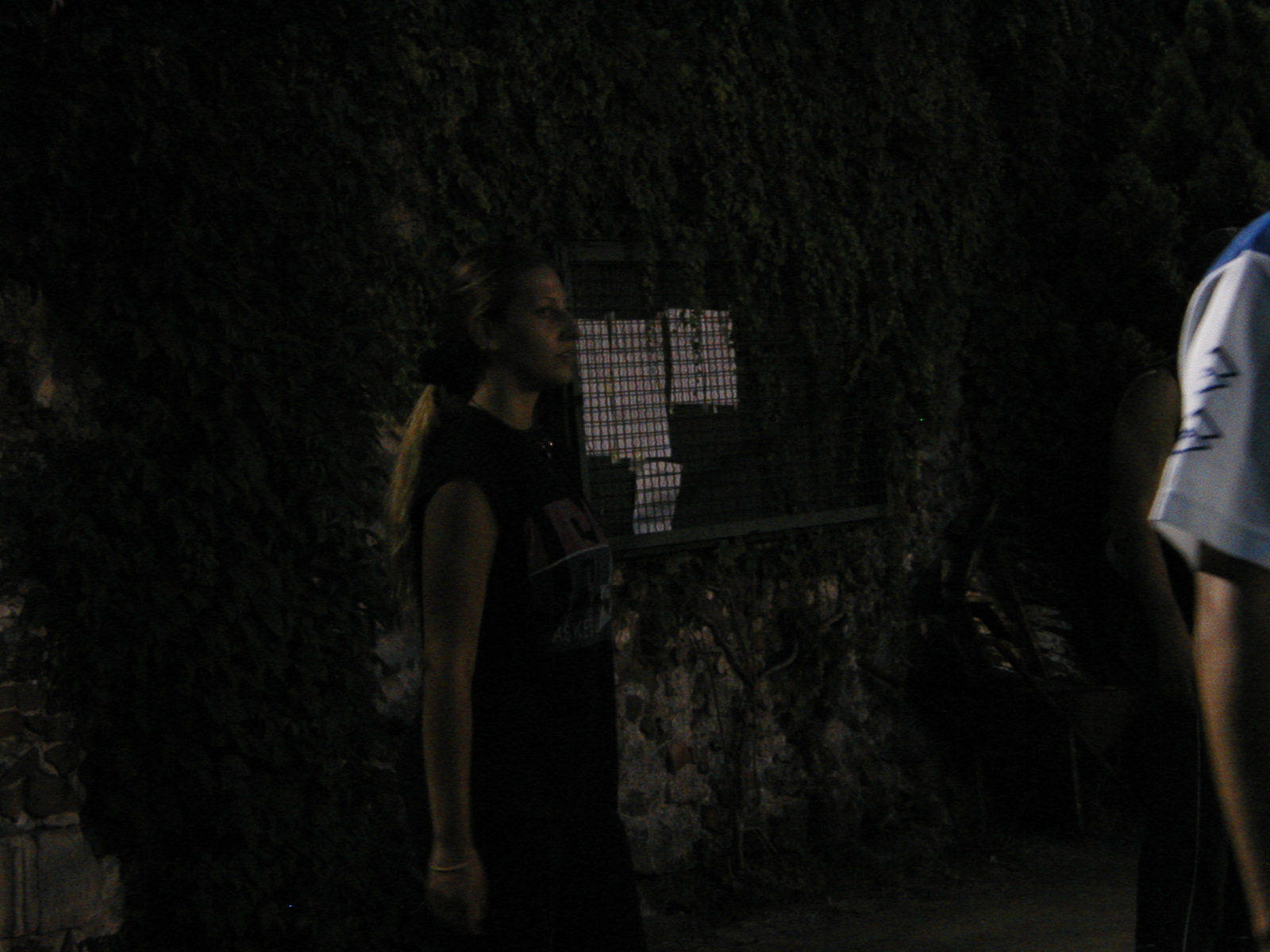 P1010037.JPG