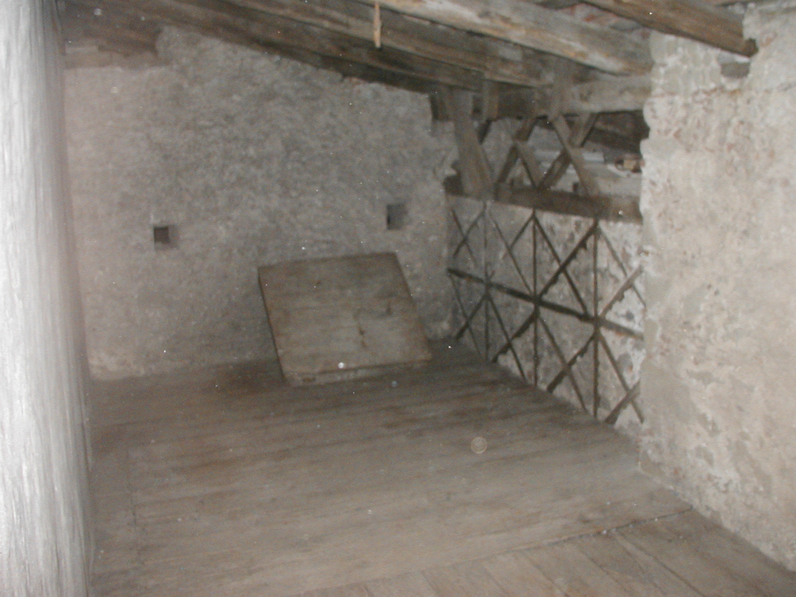 P1010037.JPG