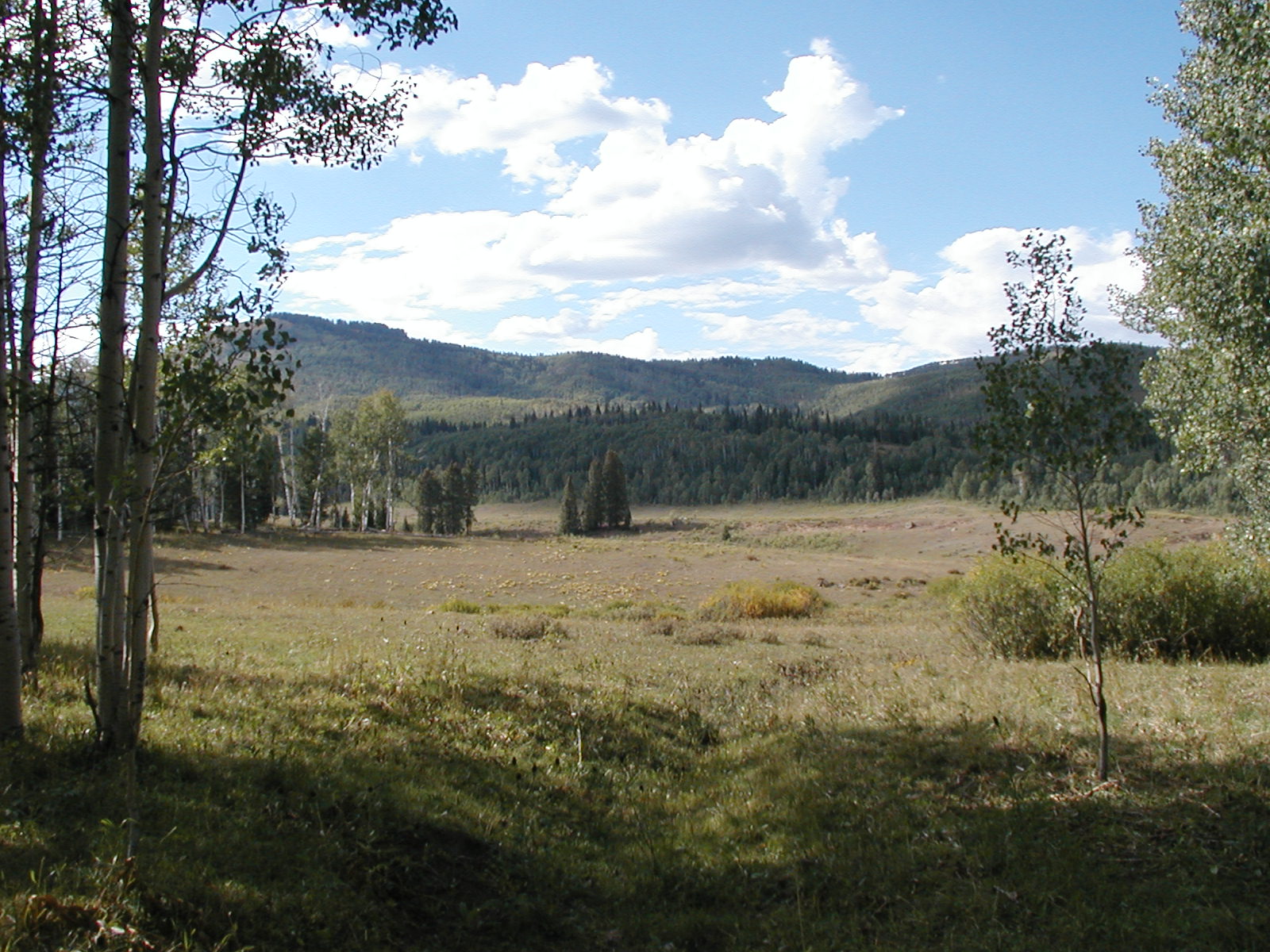 P1010038.JPG
