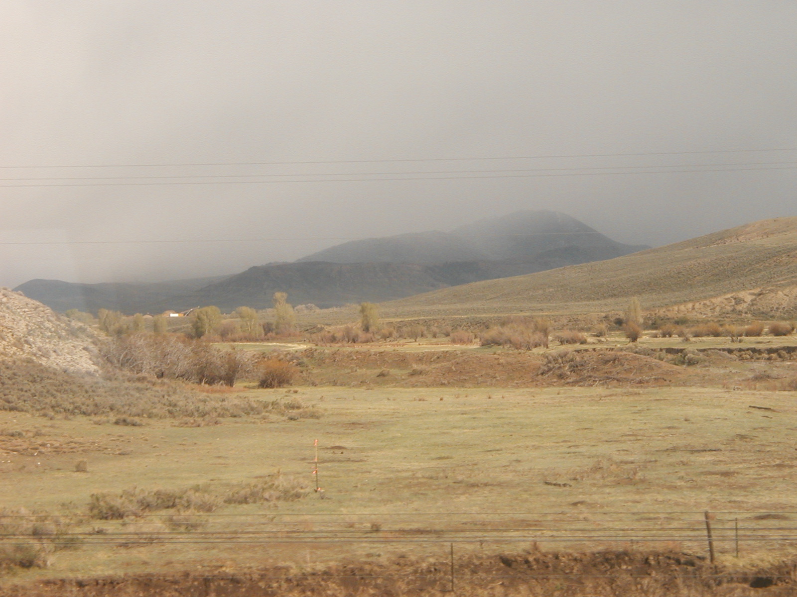 P1010038.JPG