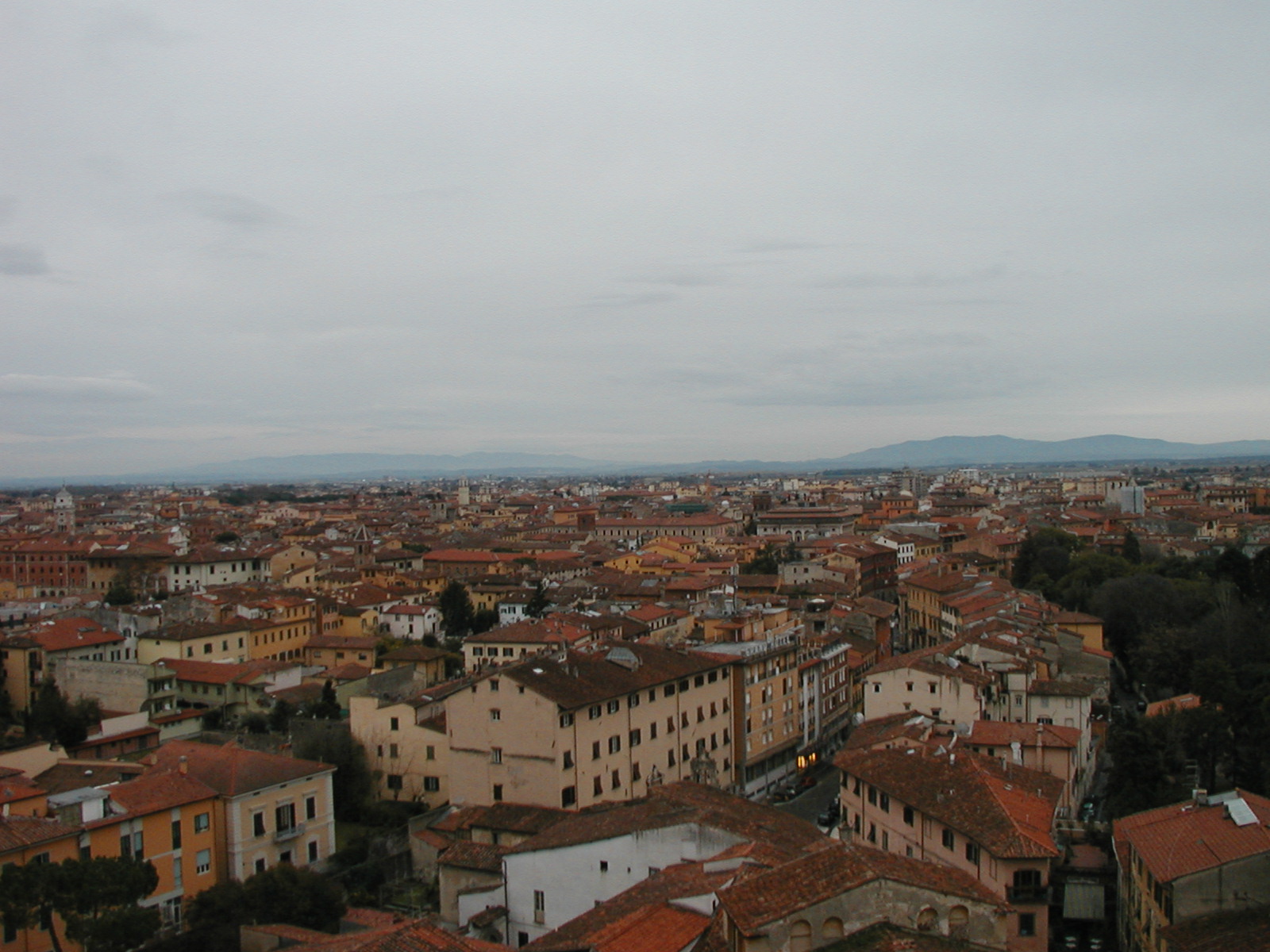 P1010038.JPG
