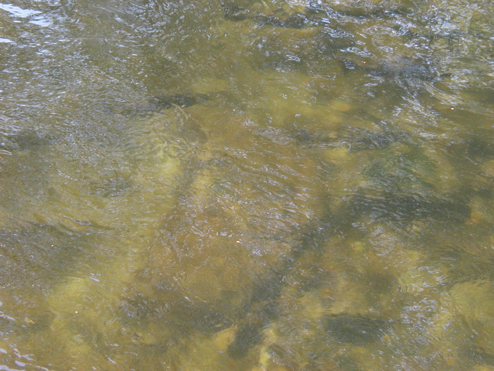 P1010039.JPG