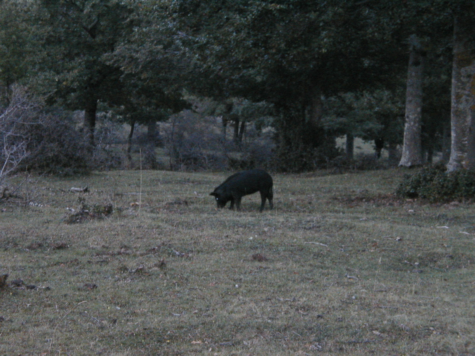 P1010039.JPG