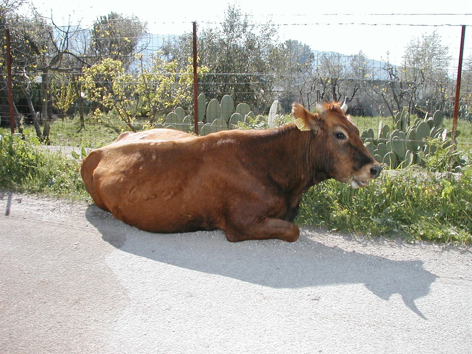 P1010040.JPG