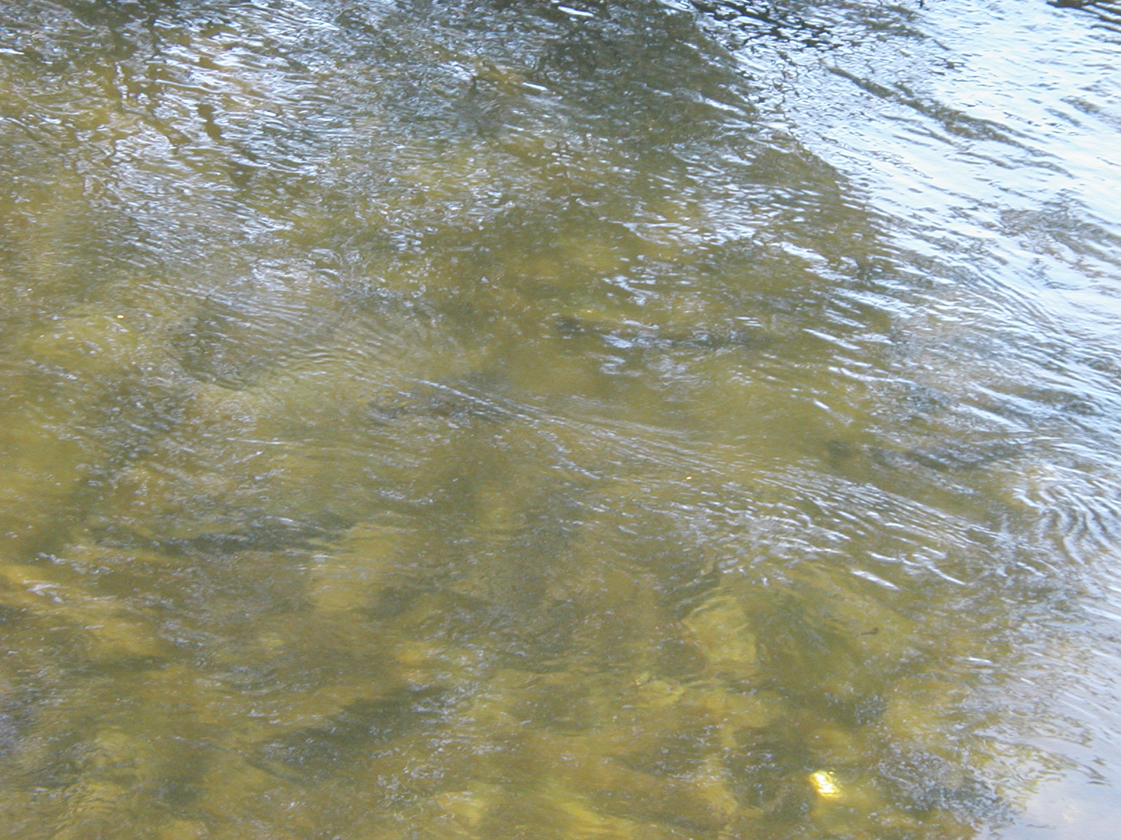 P1010040.JPG