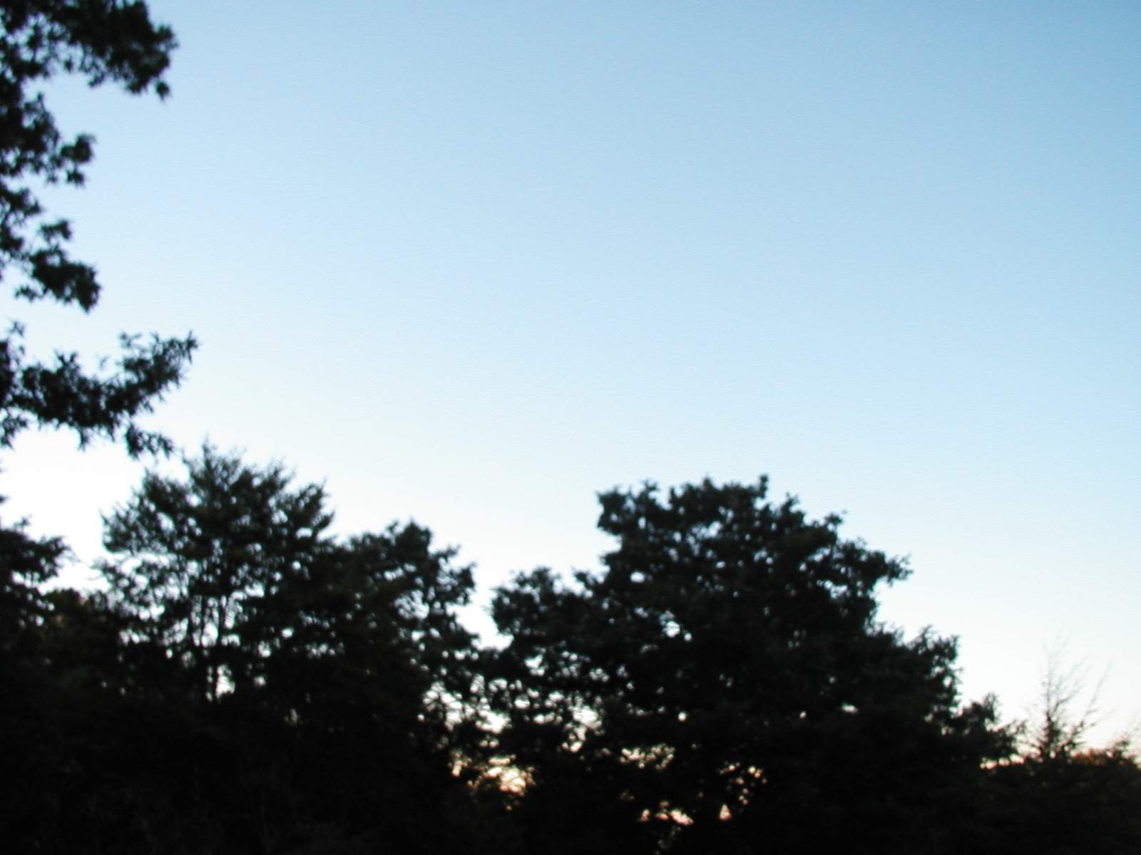 P1010040.JPG