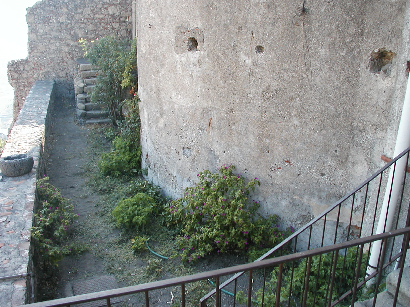 P1010040.JPG