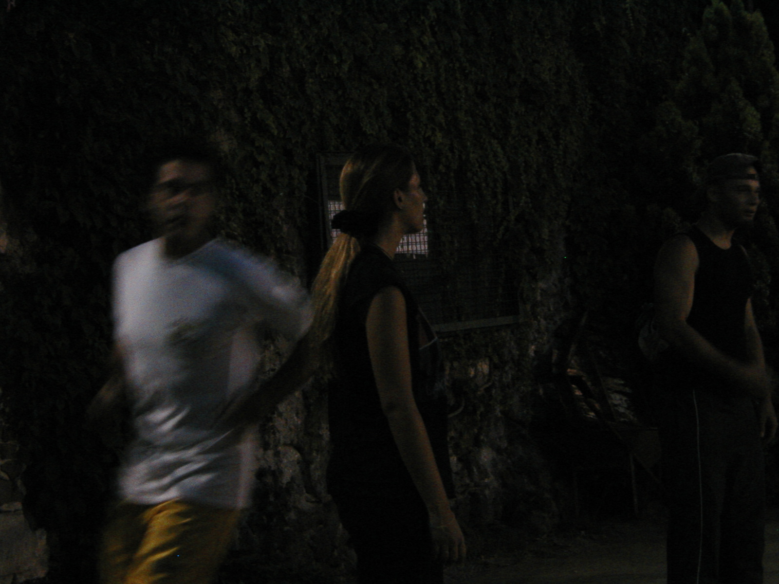 P1010041.JPG