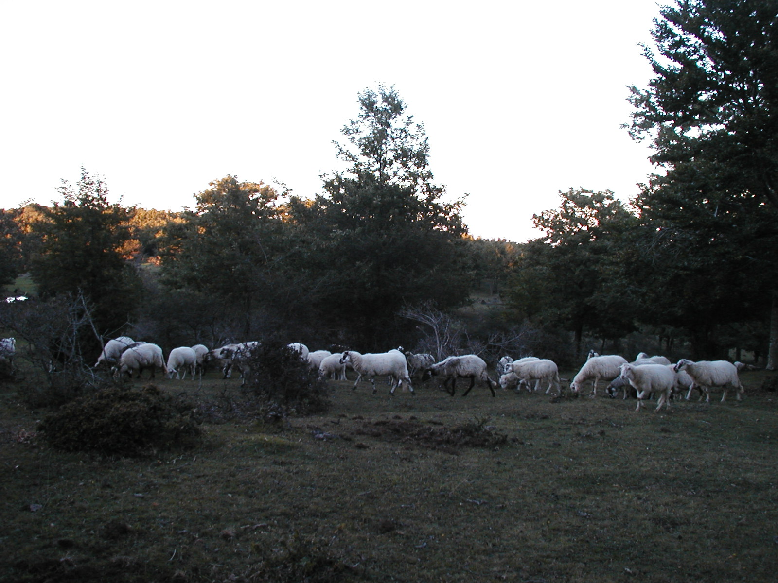 P1010041.JPG