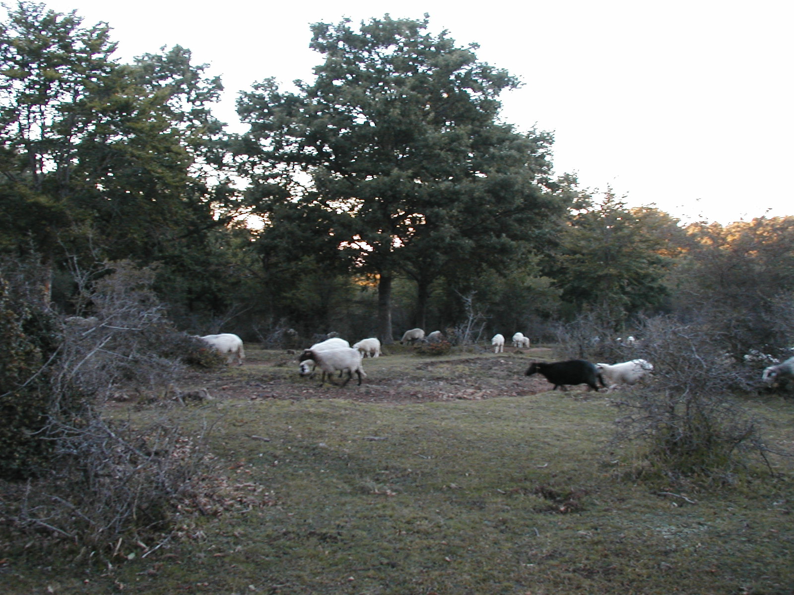 P1010042.JPG