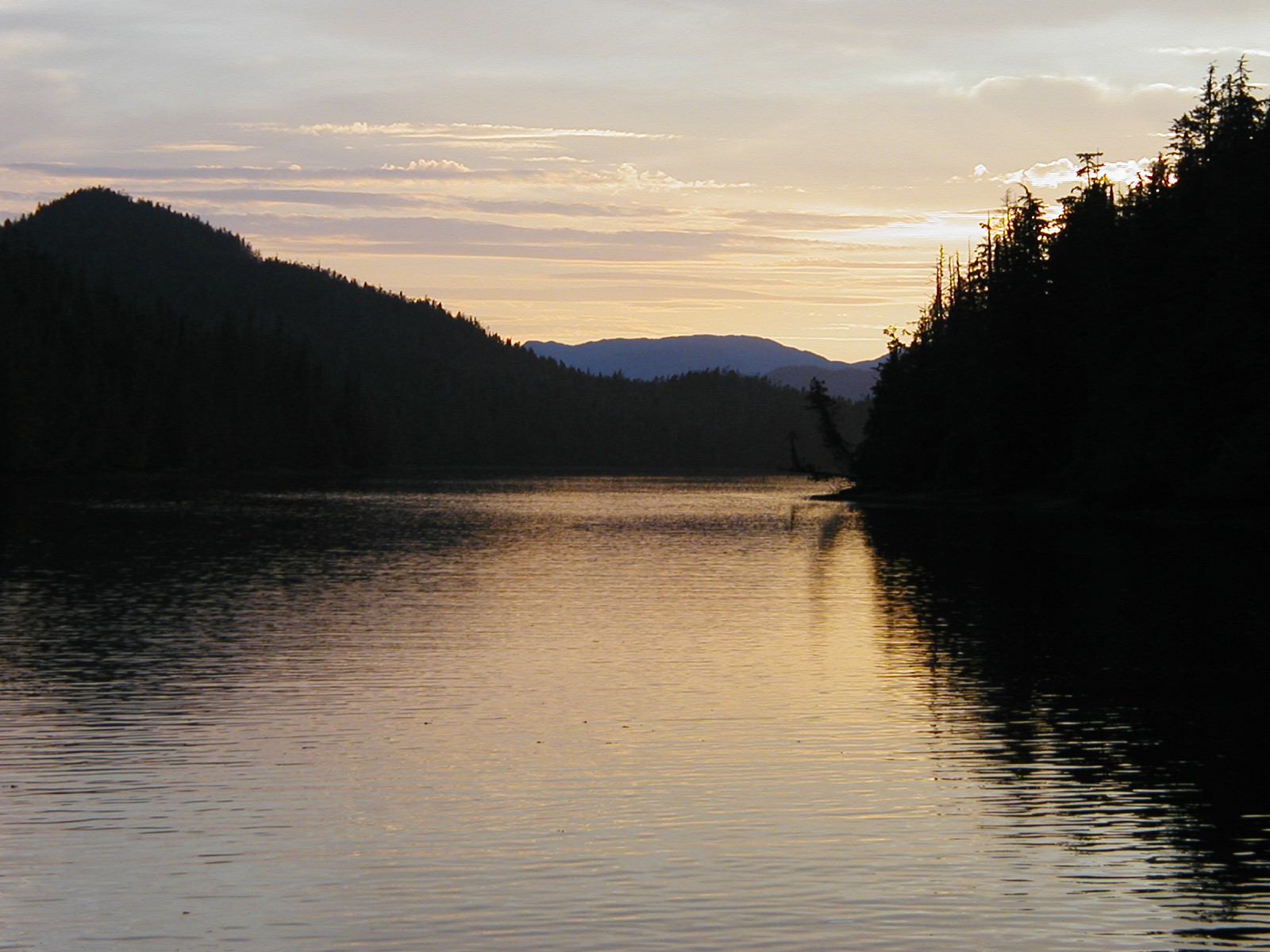 P1010042.JPG