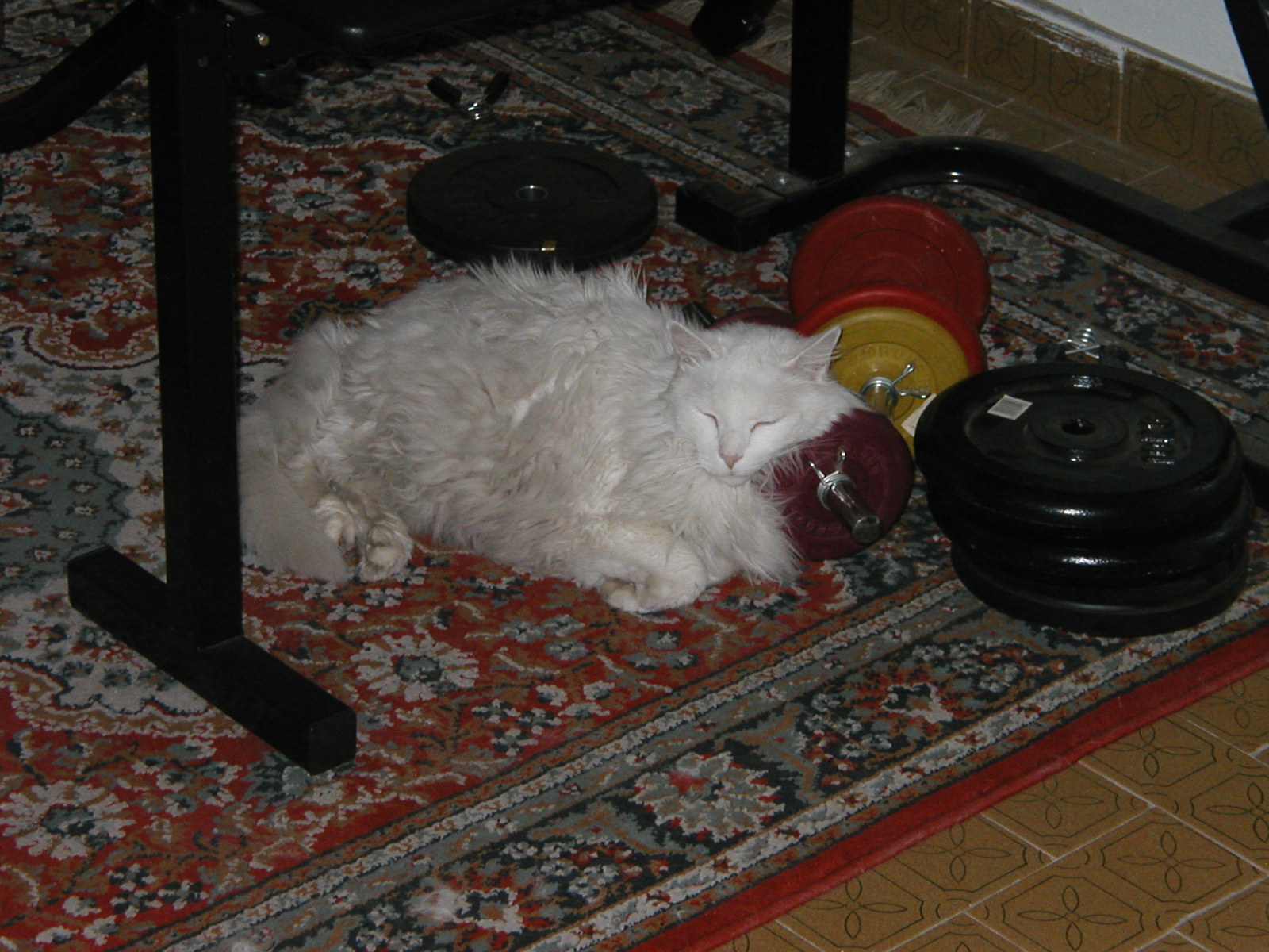 P1010042.JPG