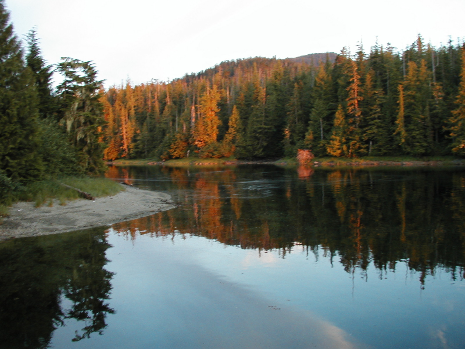 P1010043.JPG