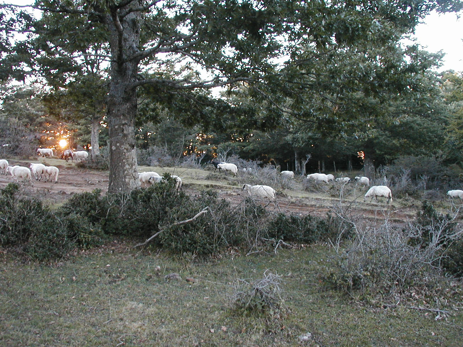 P1010043.JPG