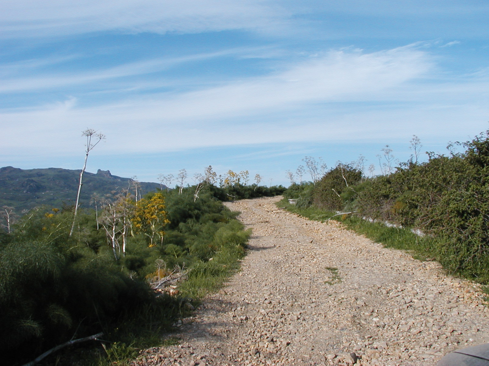 P1010044.JPG