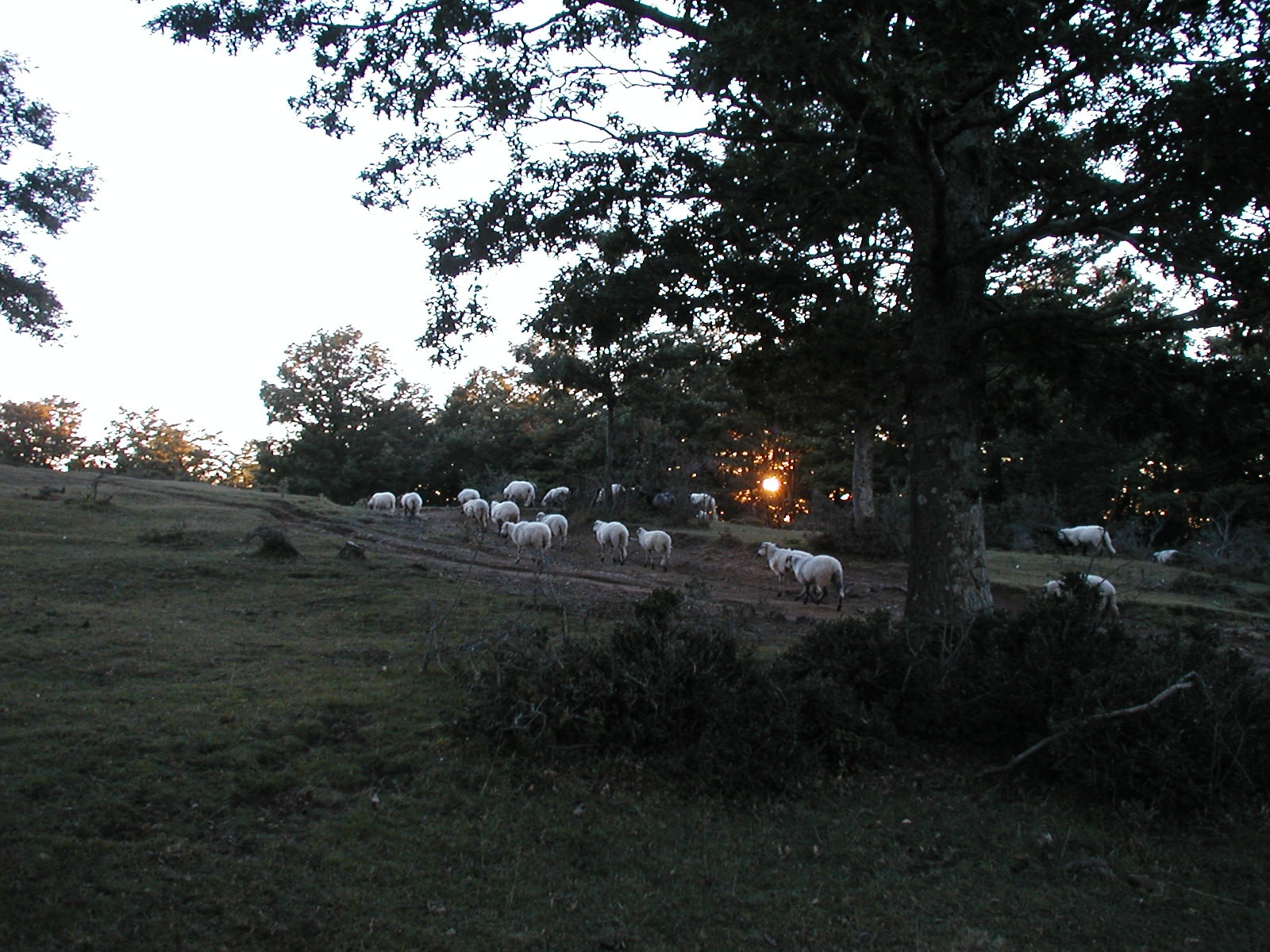 P1010044.JPG