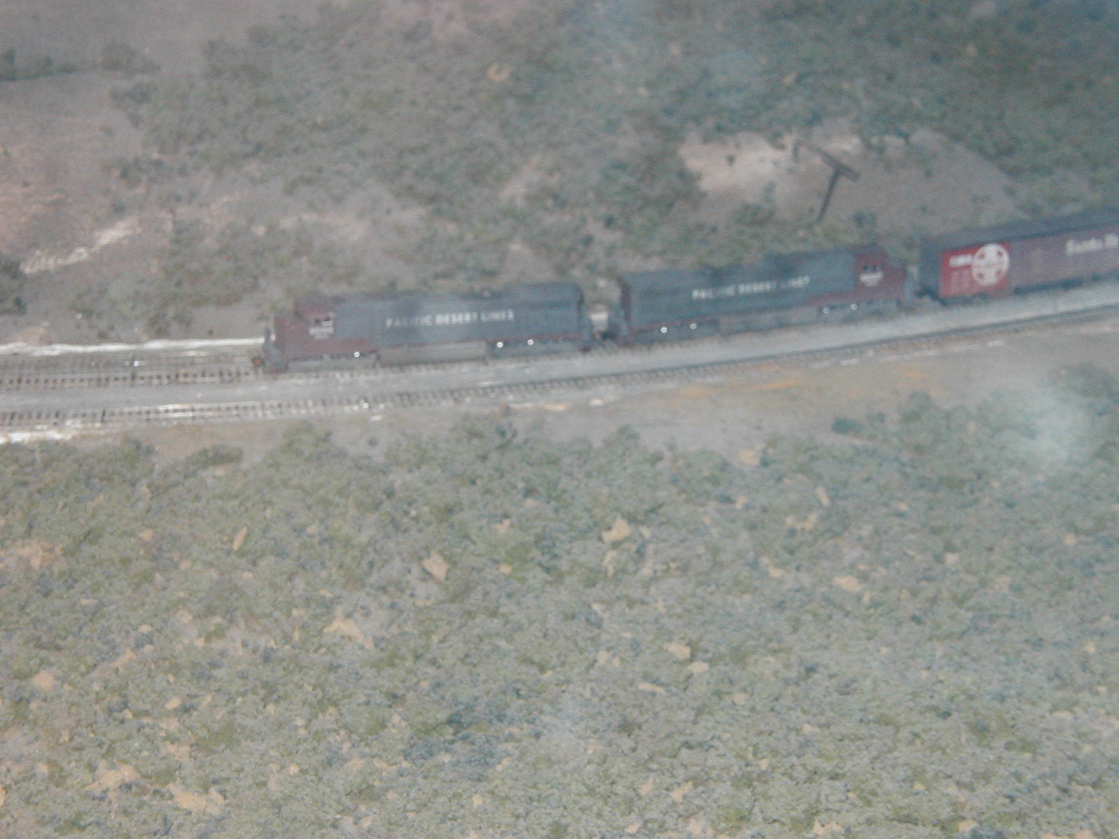 P1010044.JPG