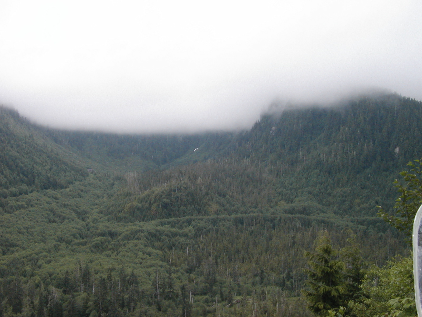 P1010045.JPG