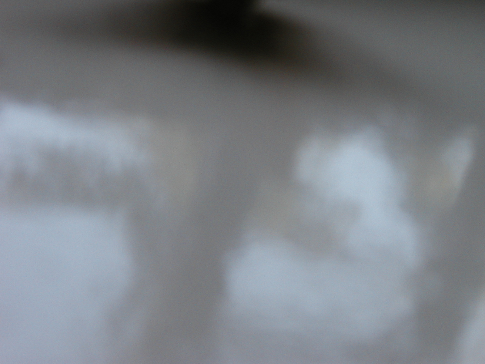 P1010045.JPG