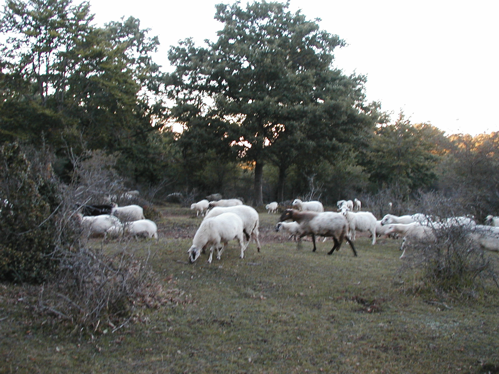 P1010045.JPG