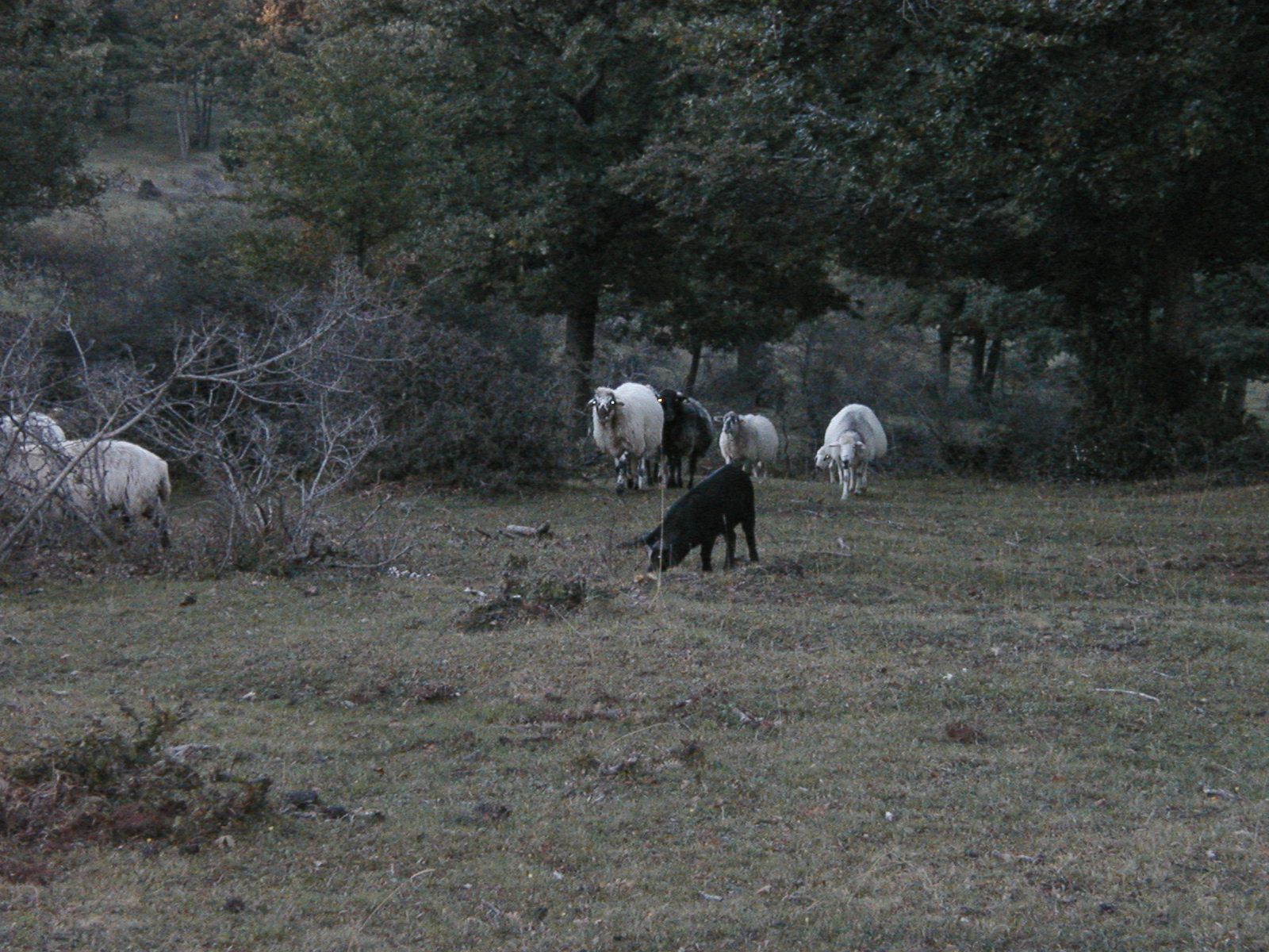 P1010046.JPG