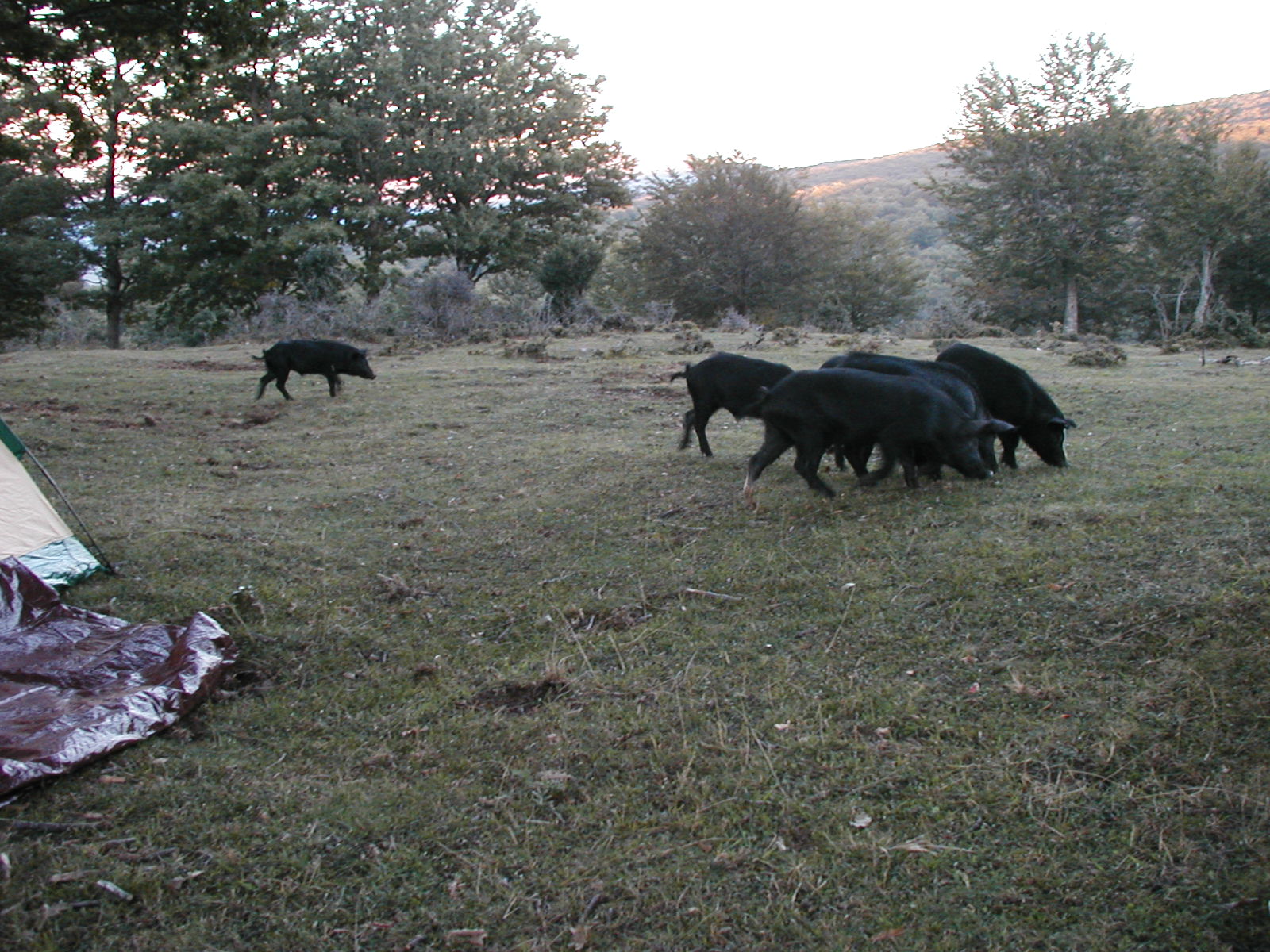 P1010047.JPG