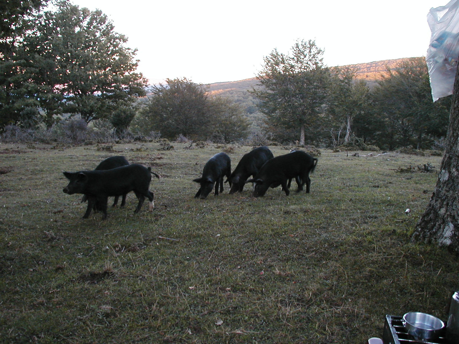 P1010048.JPG