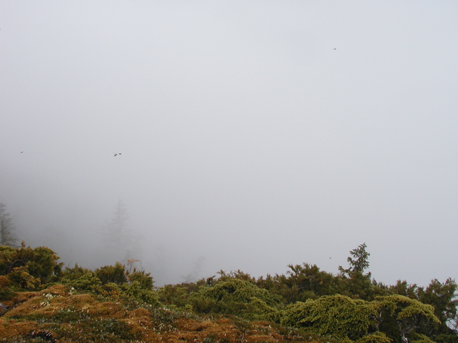 P1010050.JPG