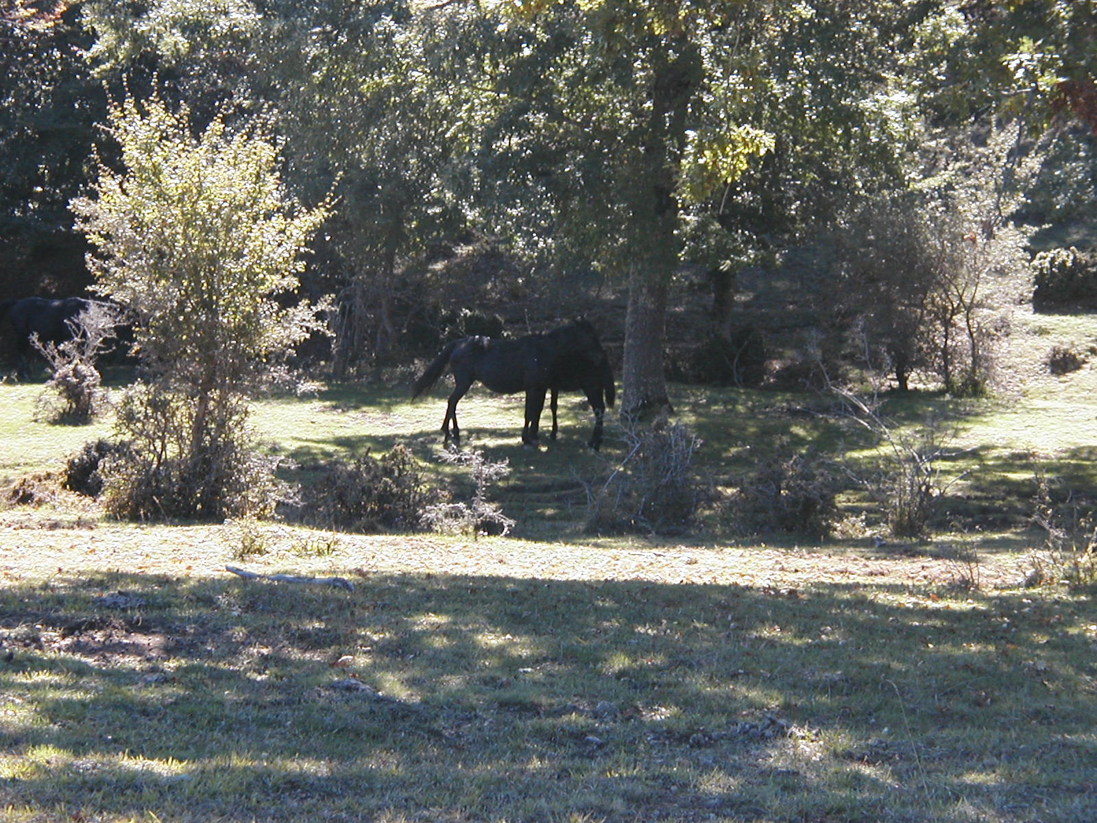 P1010050.JPG