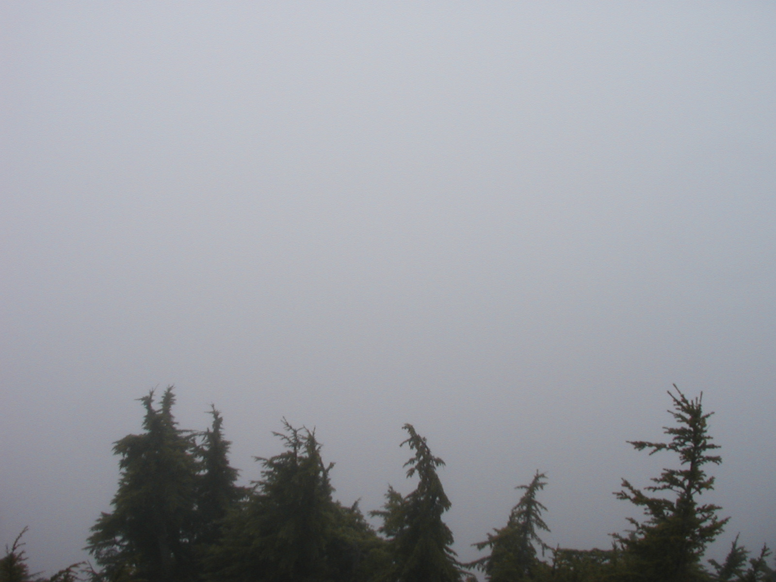 P1010054.JPG