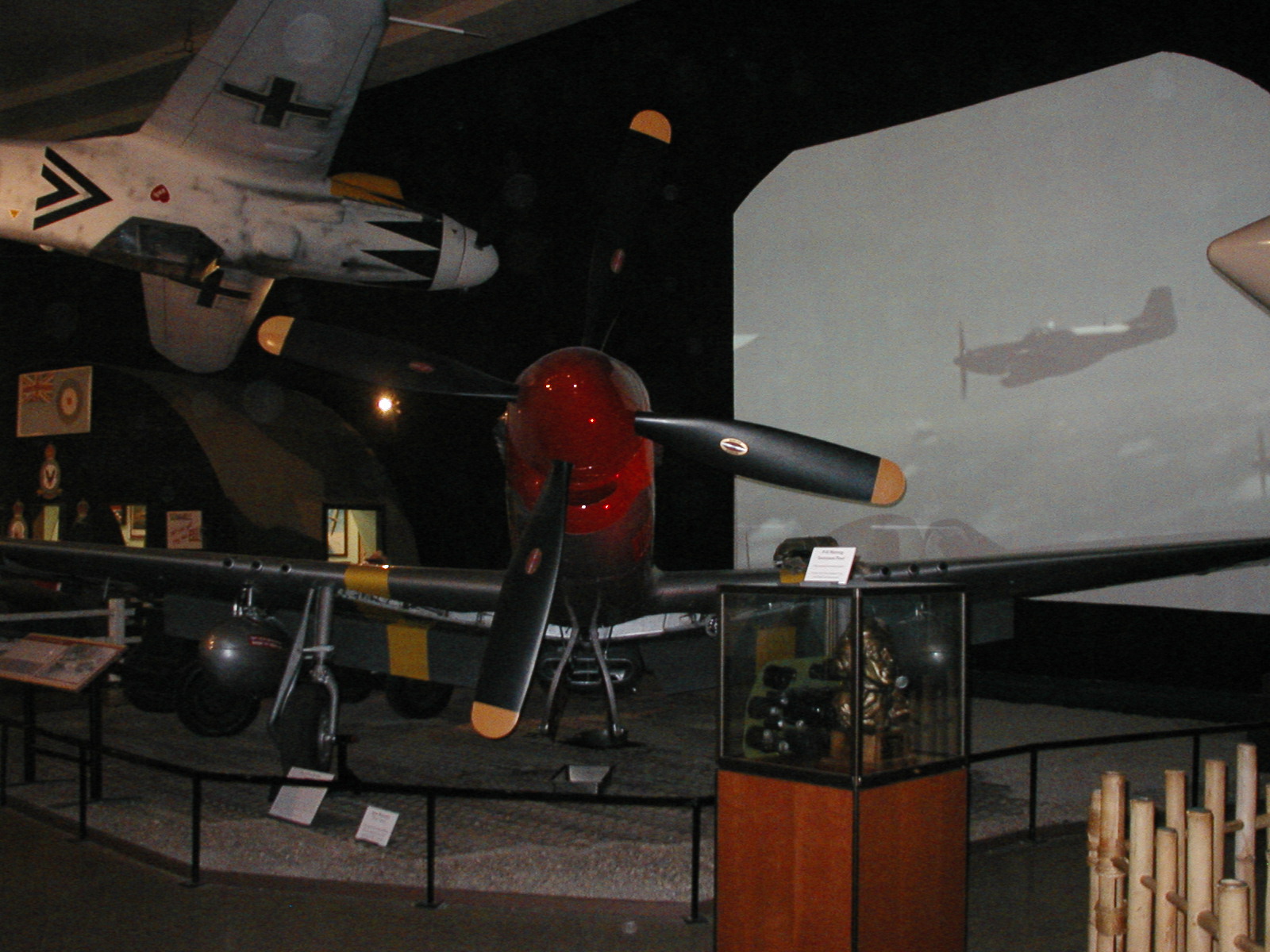P1010056.JPG