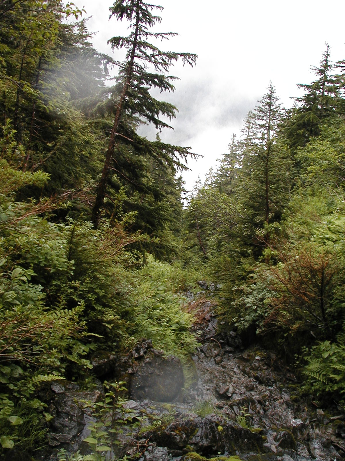 P1010057.JPG