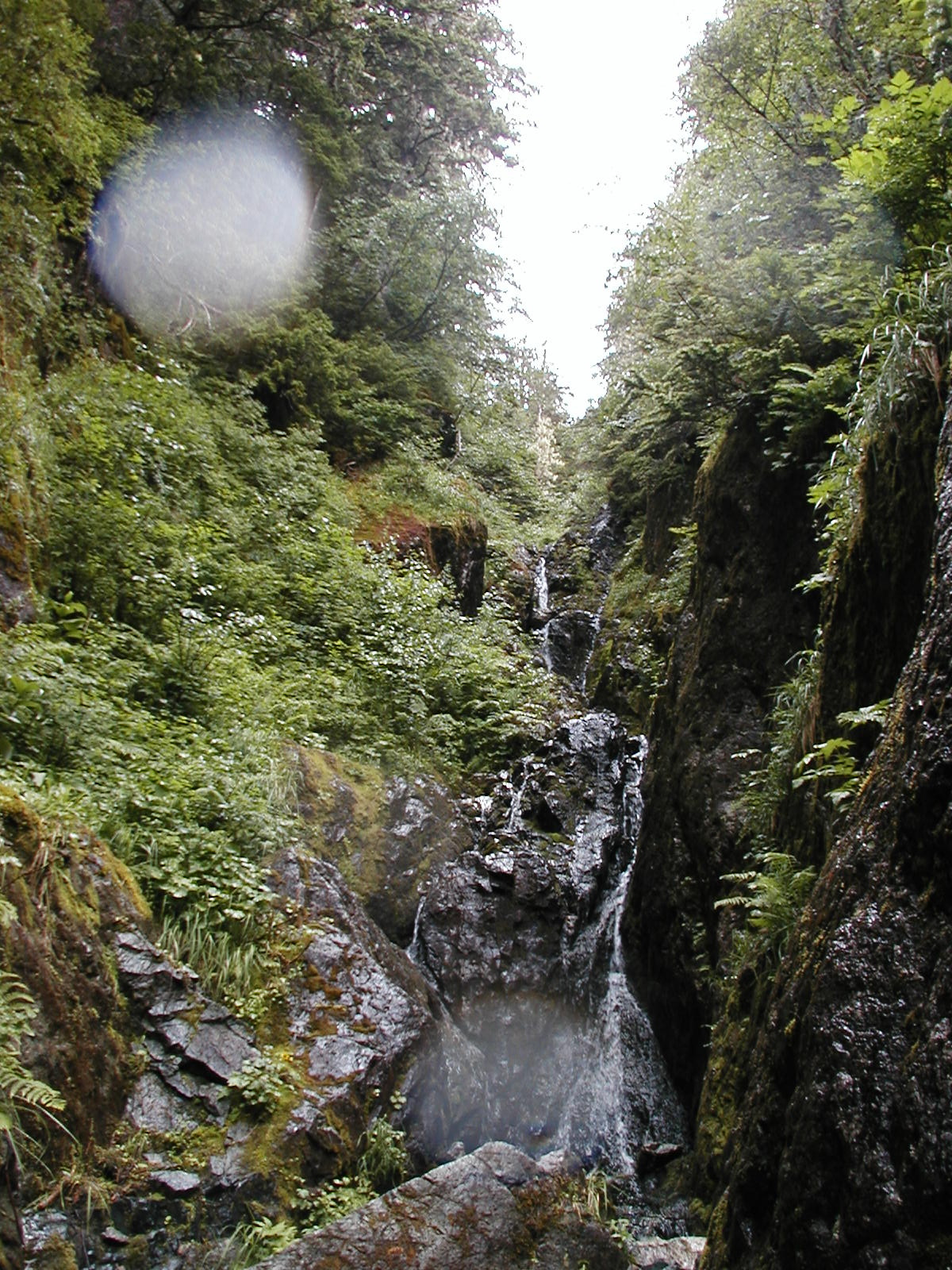 P1010058.JPG