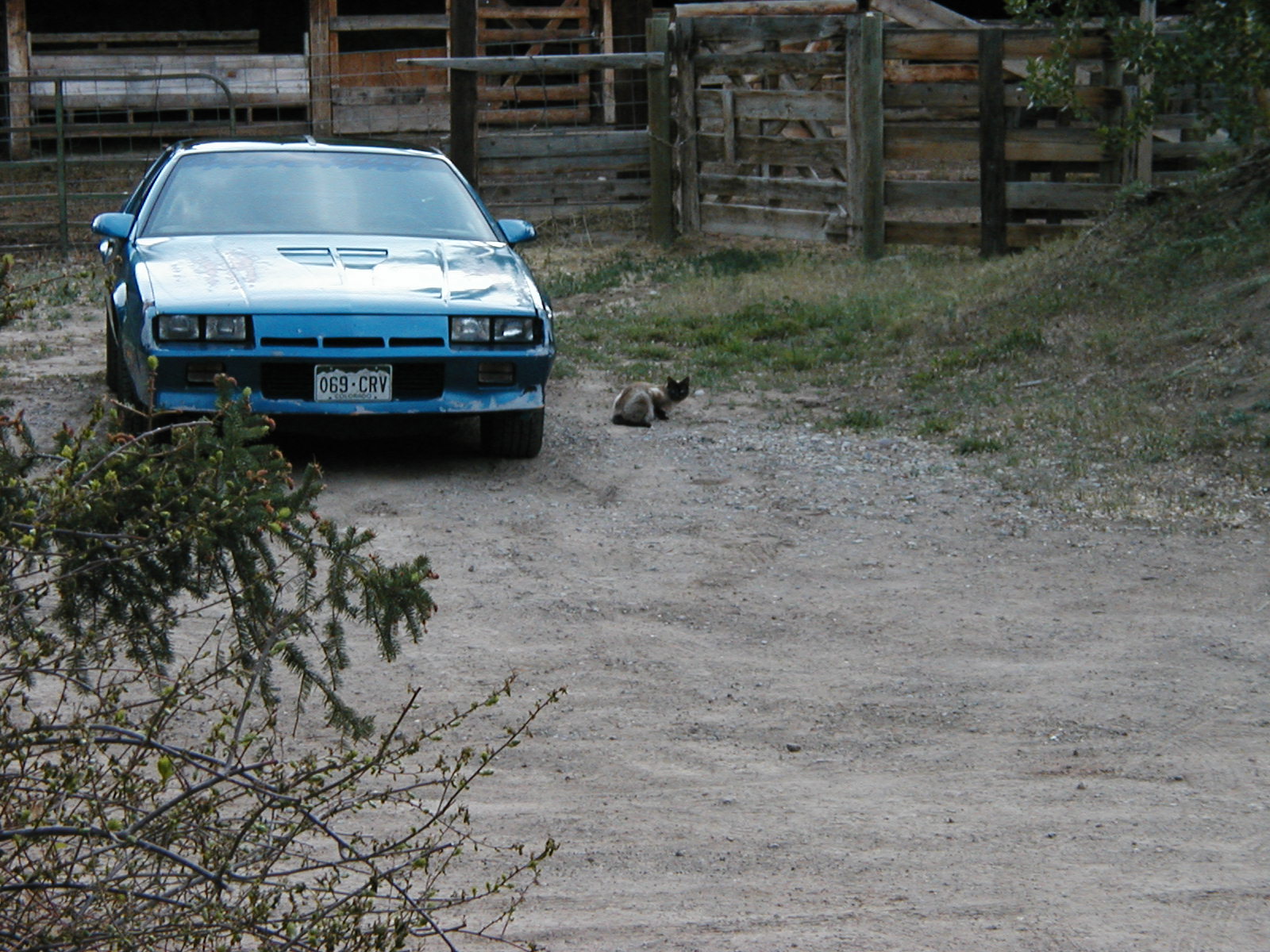 P1010078.JPG