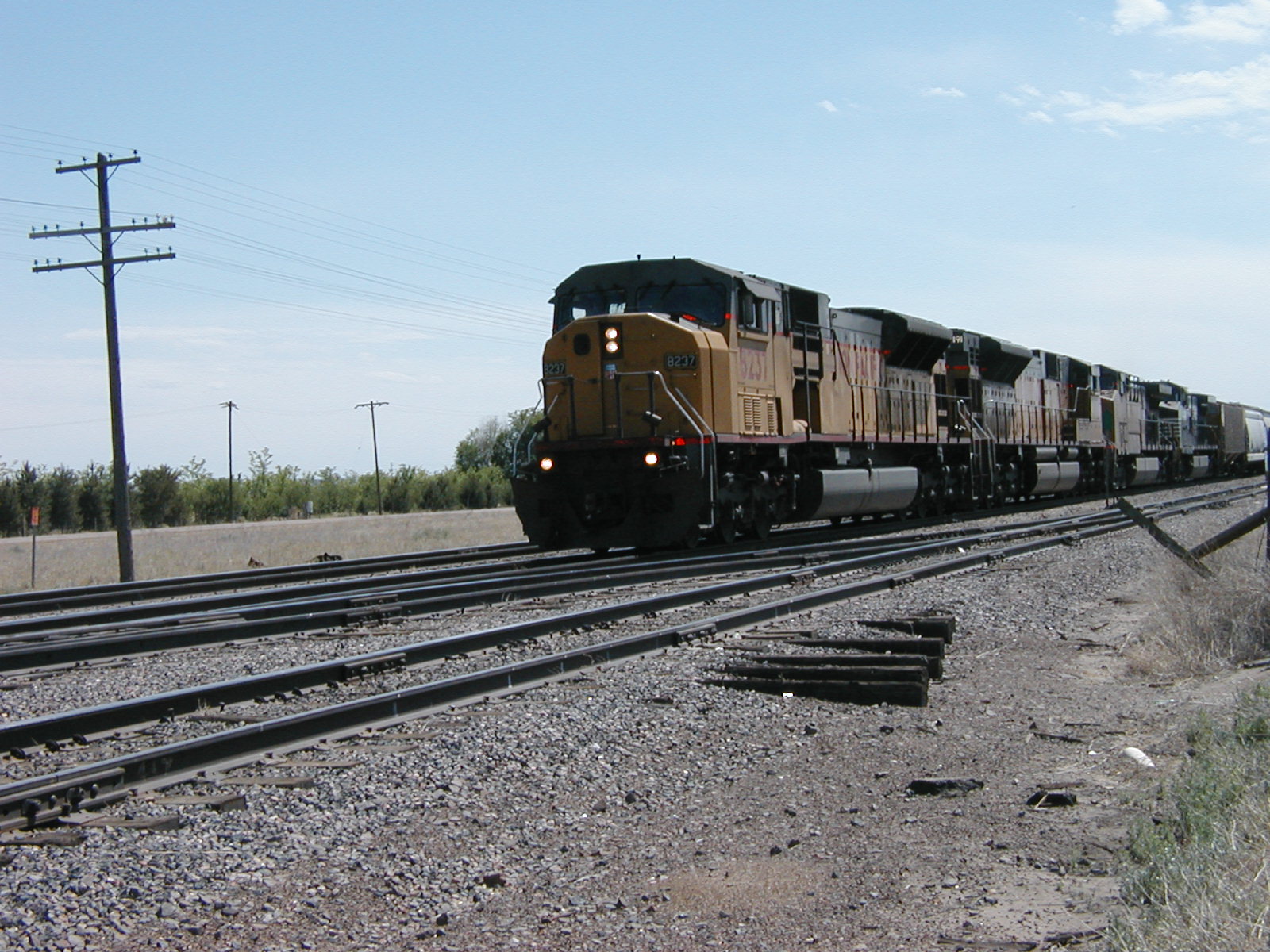 P5280013.JPG
