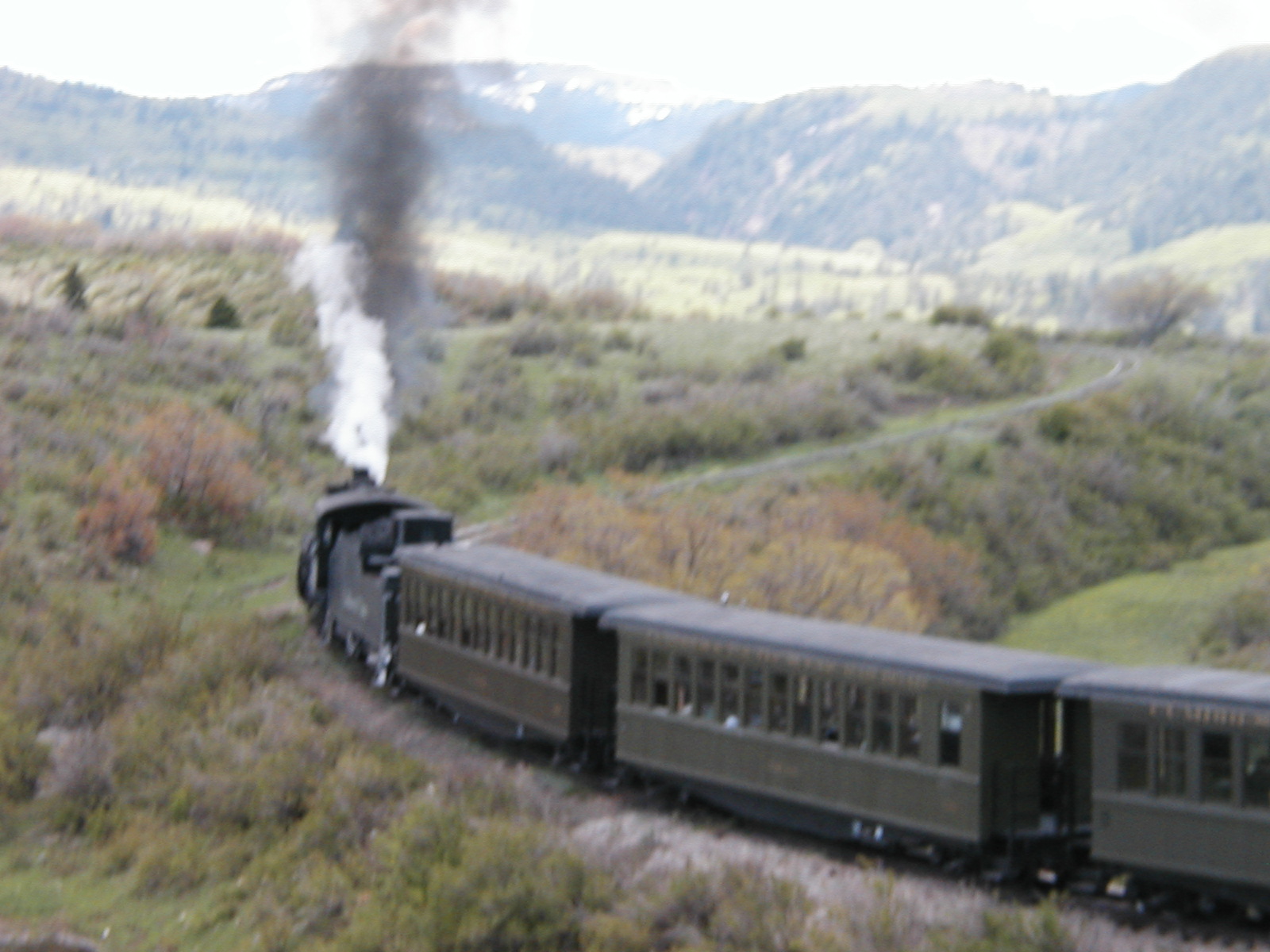 P5310025.JPG