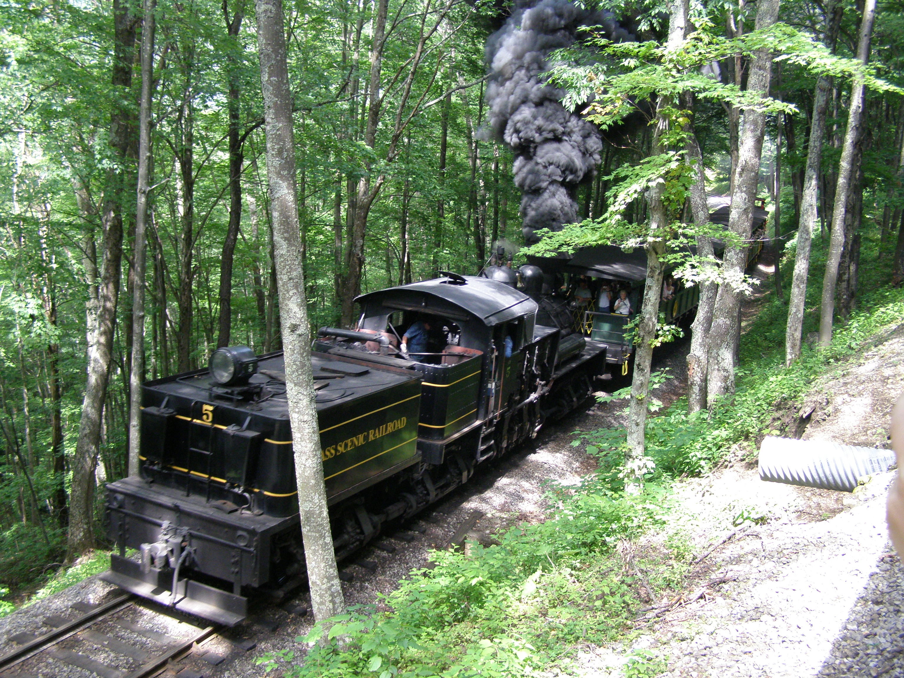 P7150087.JPG