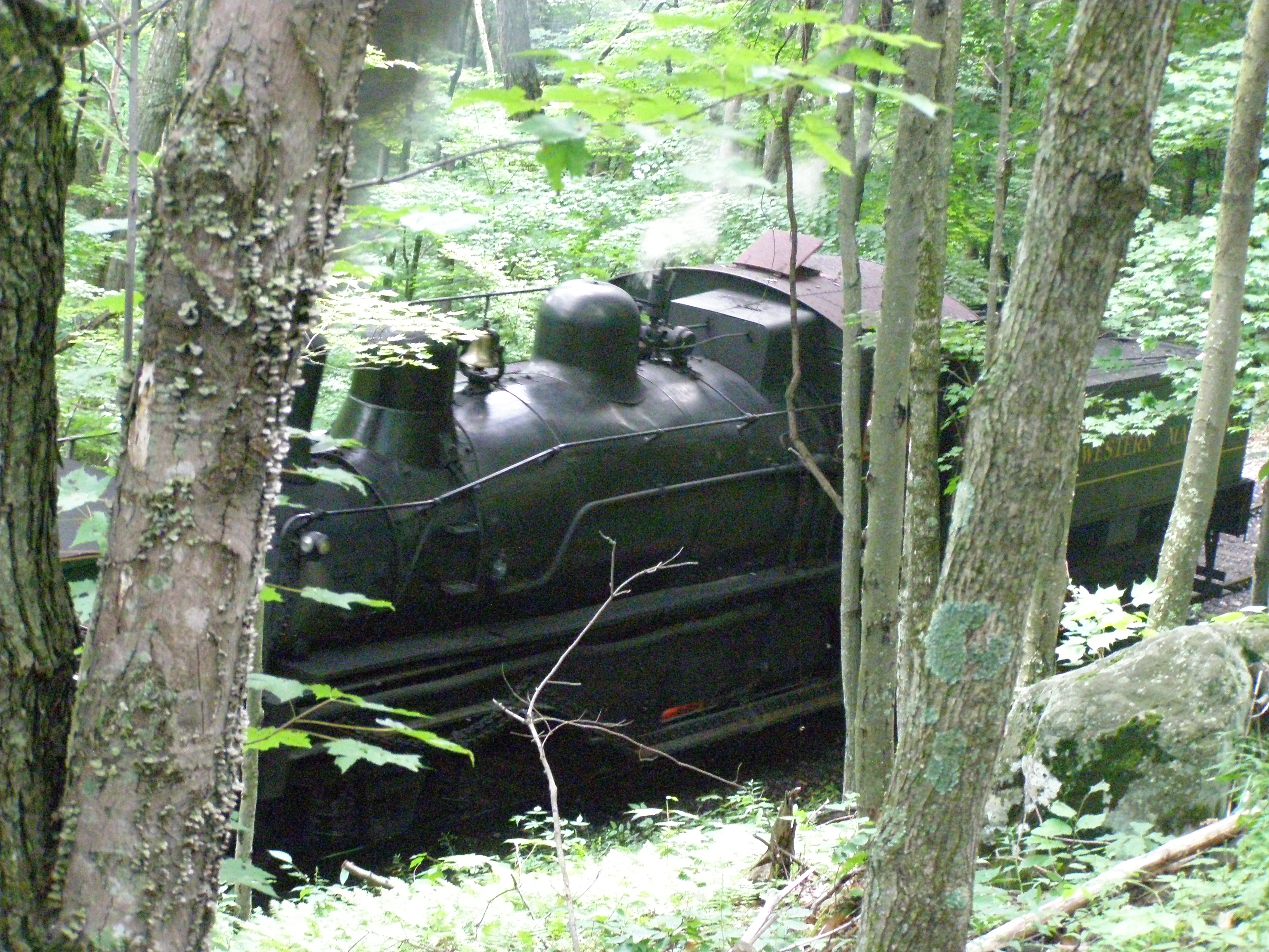 P7230152.JPG