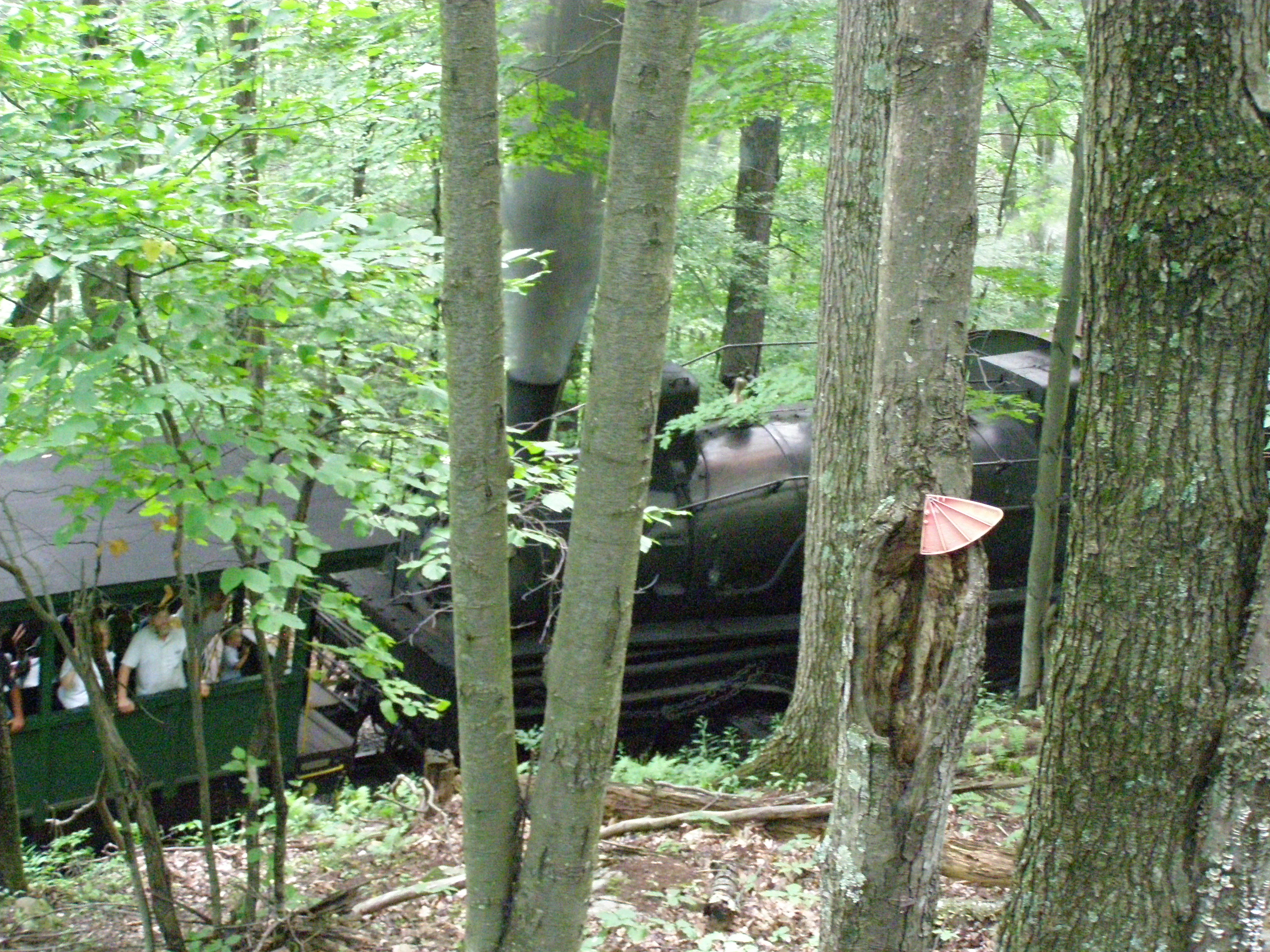 P7230153.JPG