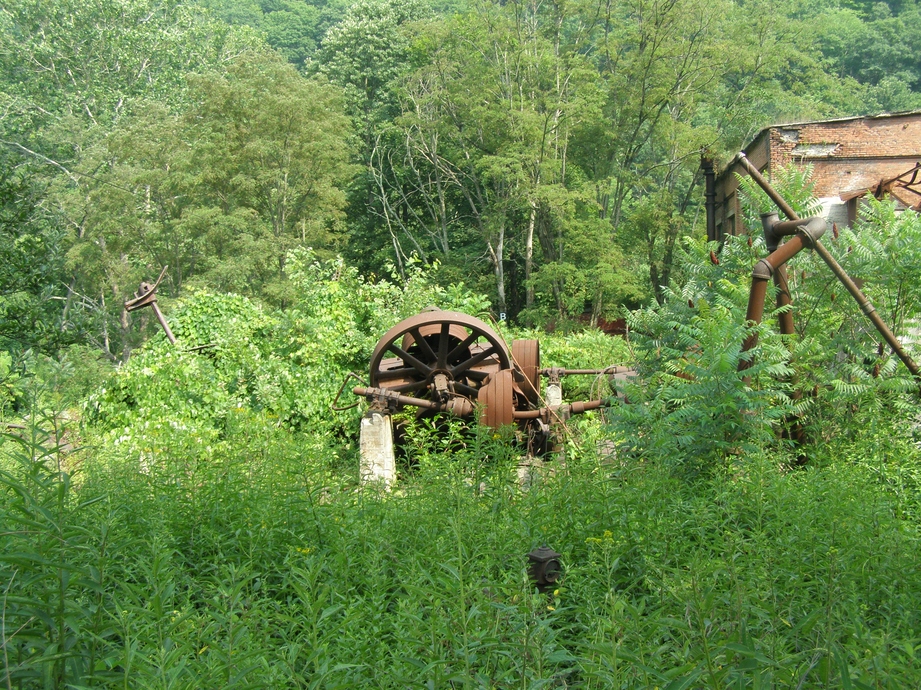 P7230256.JPG
