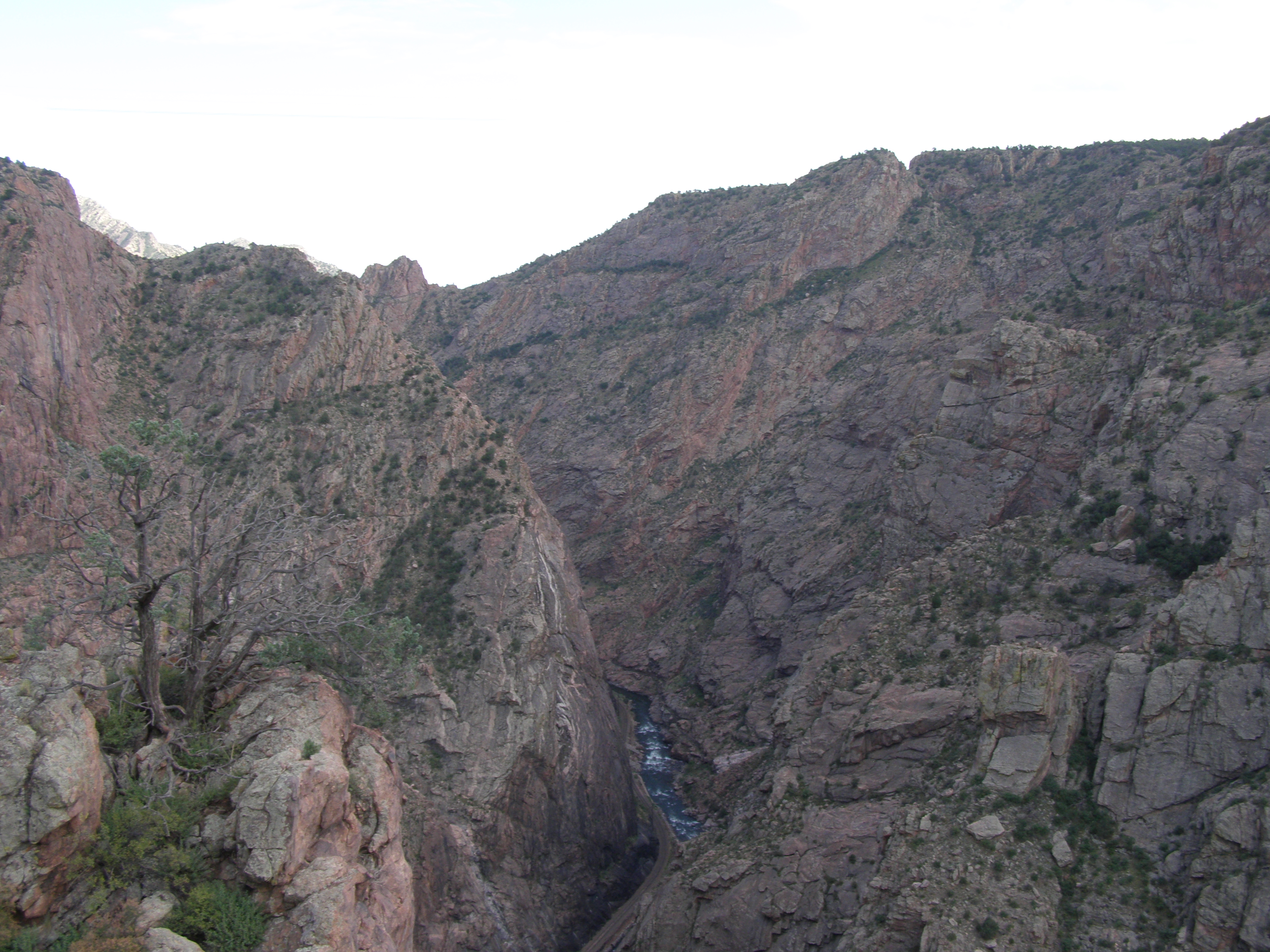 P8220131.JPG