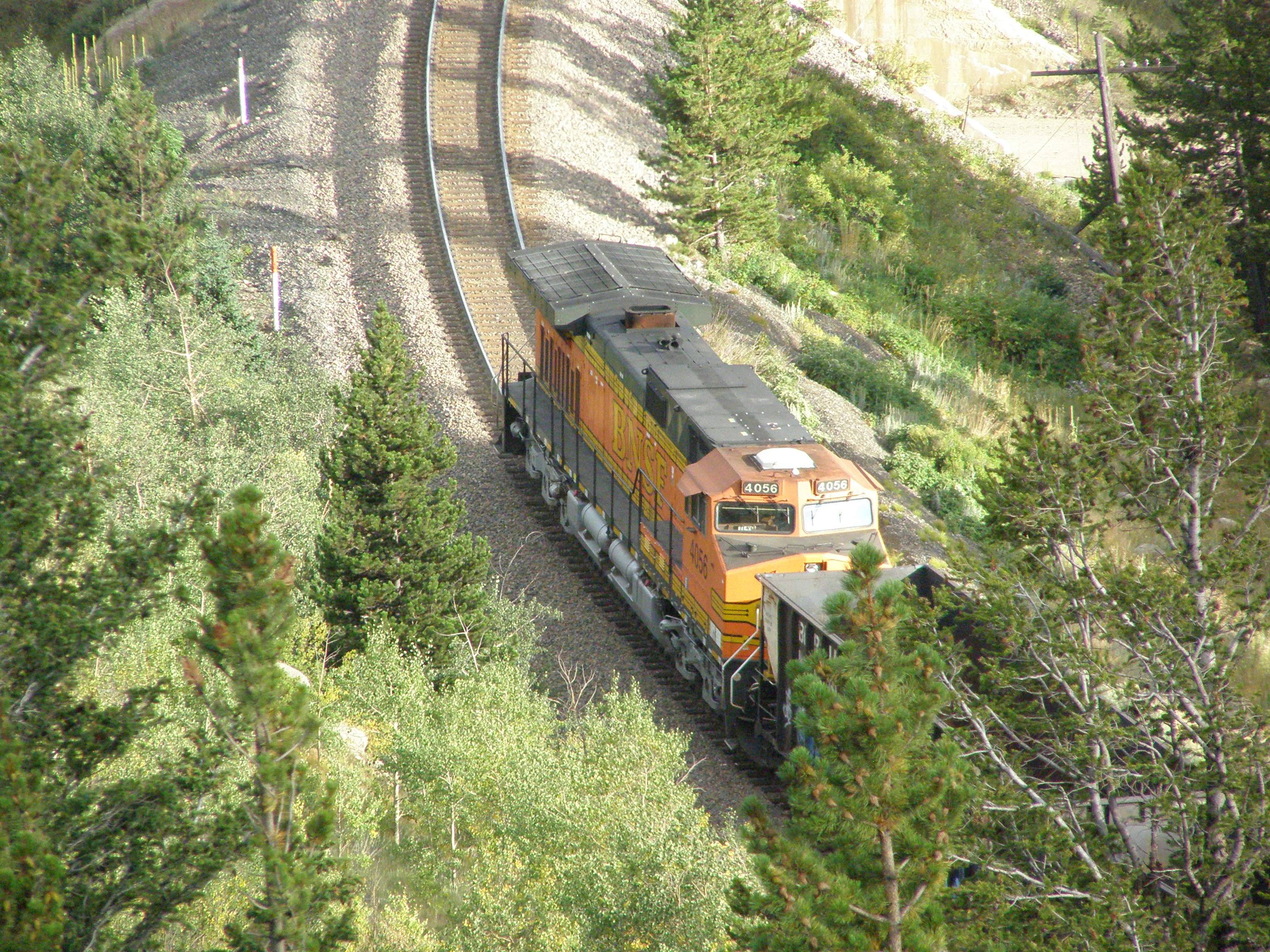 P8230194.JPG