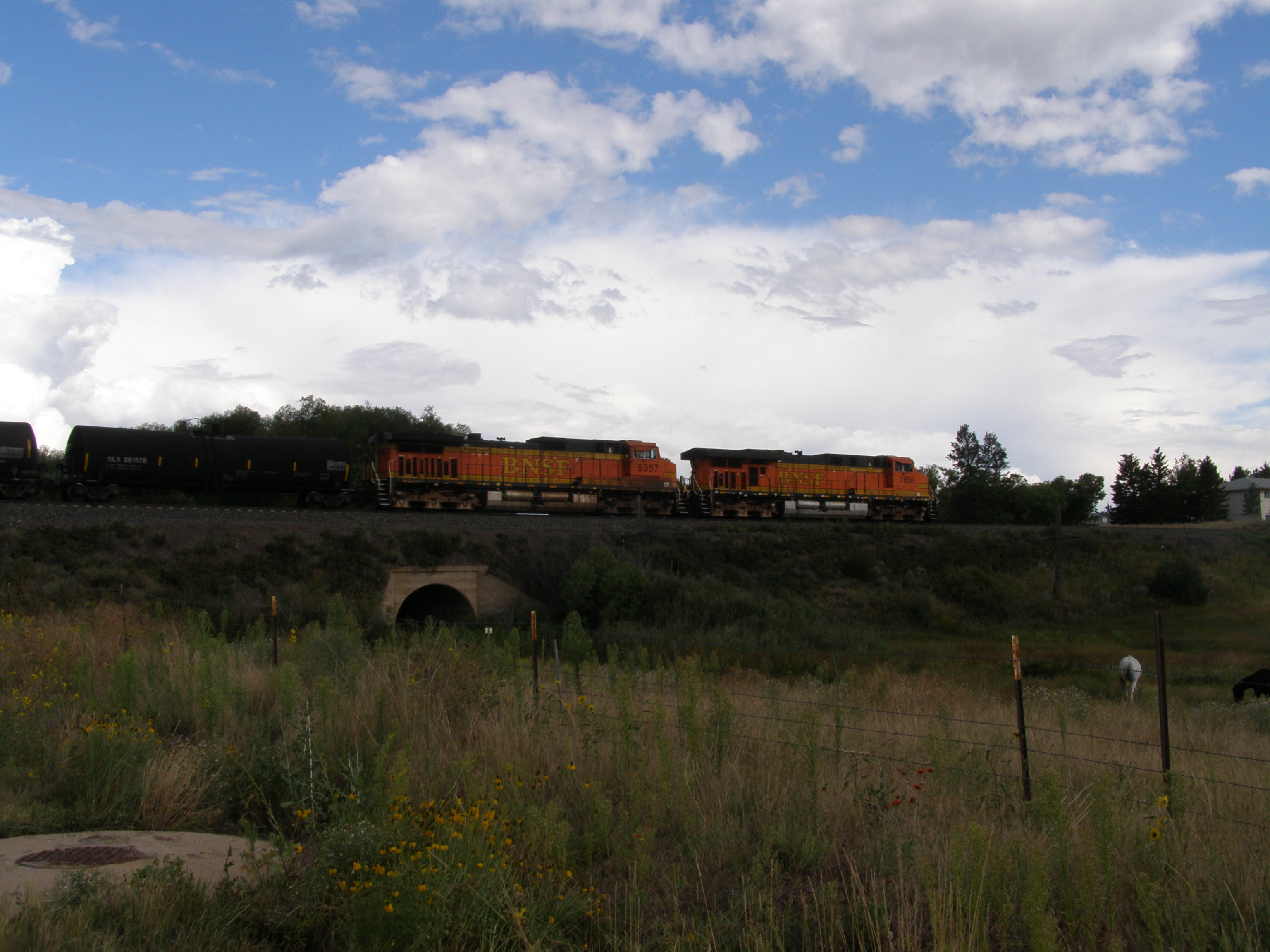 P8260214.JPG
