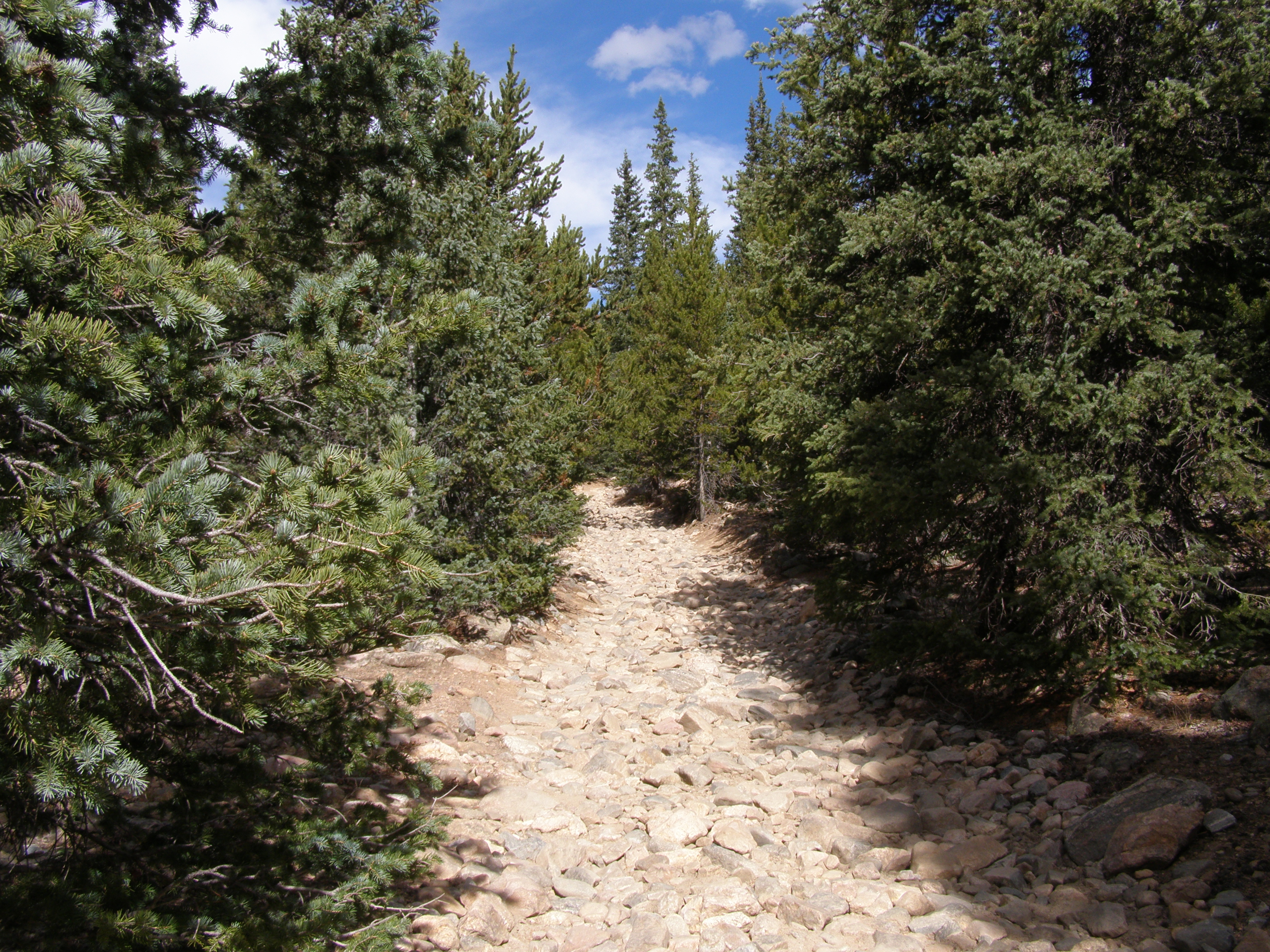 PA100404.JPG