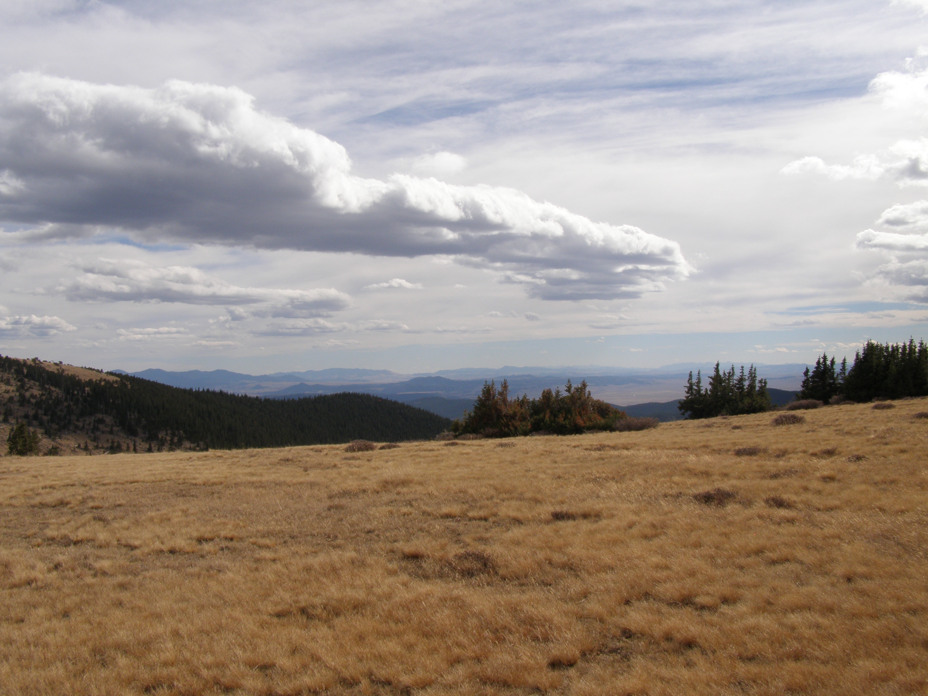 PA100413.JPG